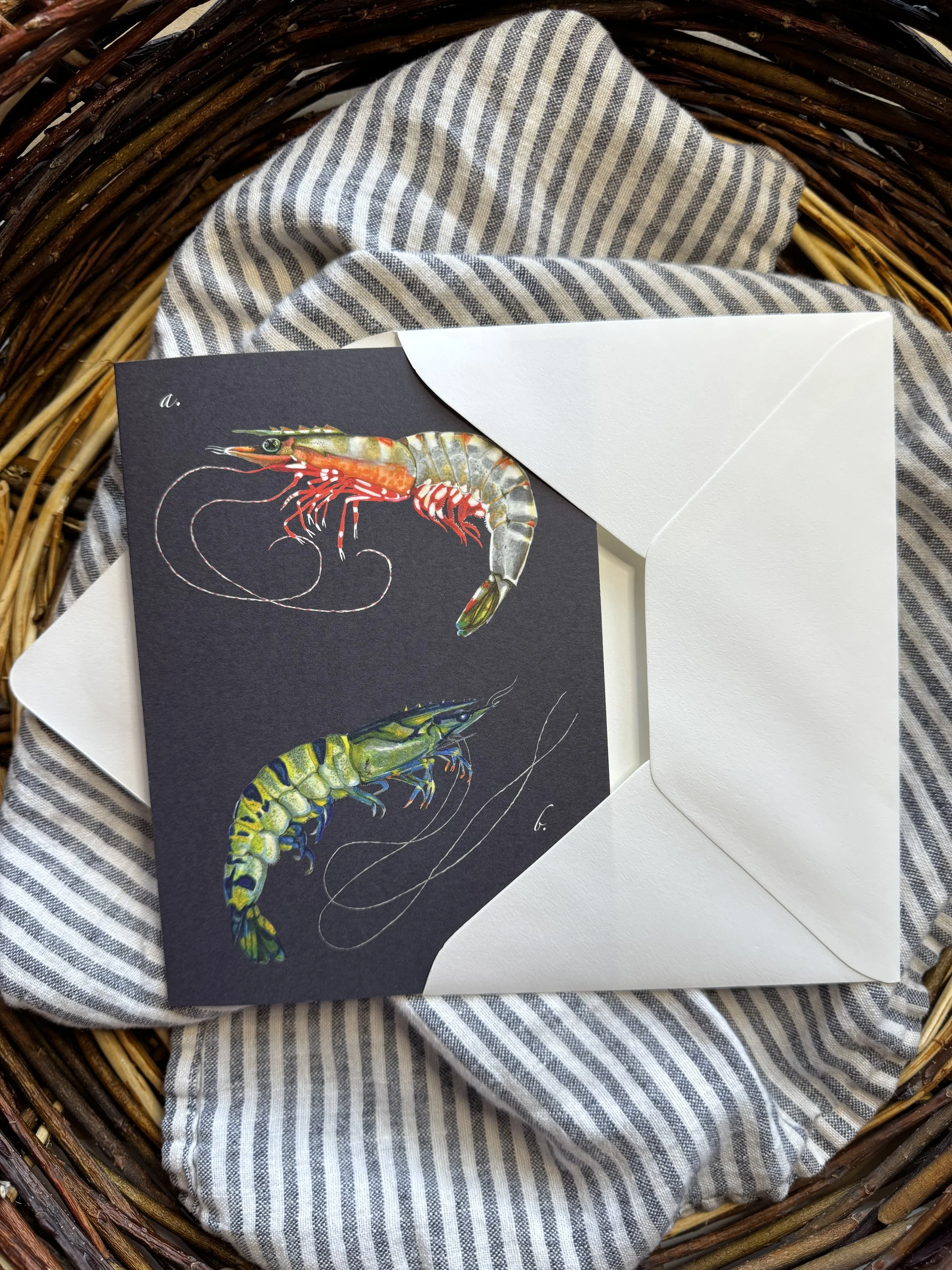 Tigershrimp.notecard.envelope.jpeg