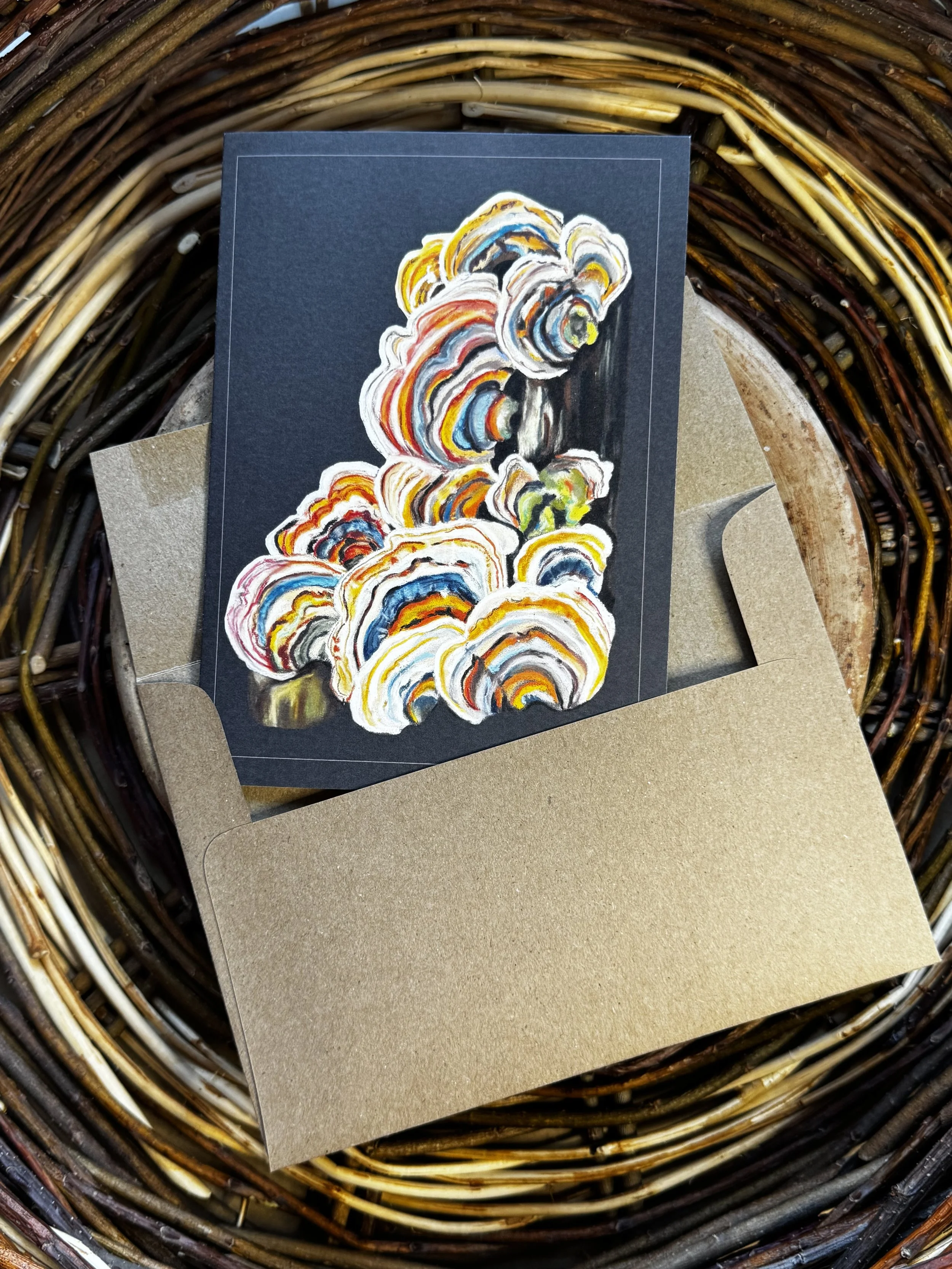 Mushroom.turkeytail.notecard.envelope.jpeg