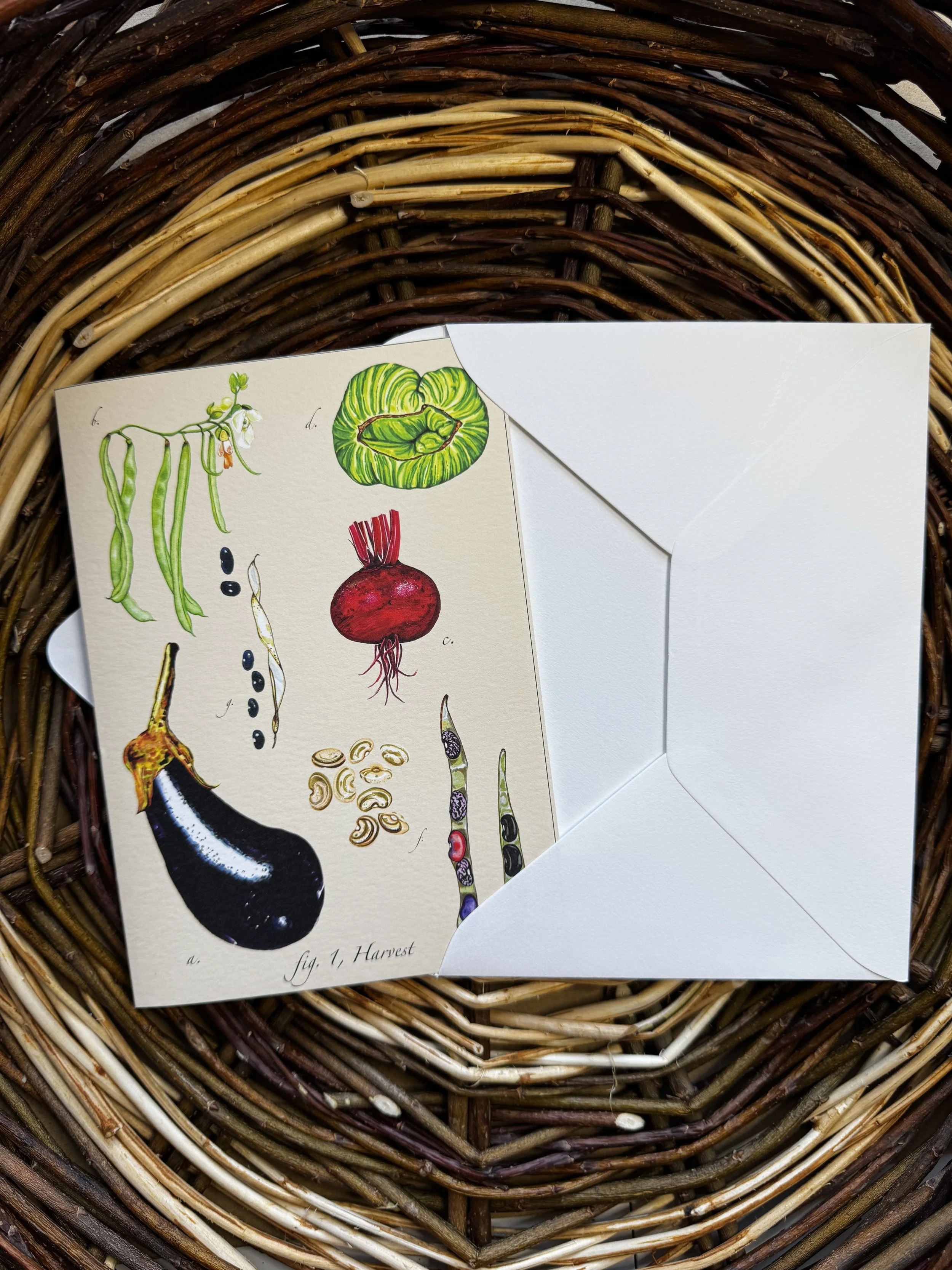 Individual Folded Note Card Designs