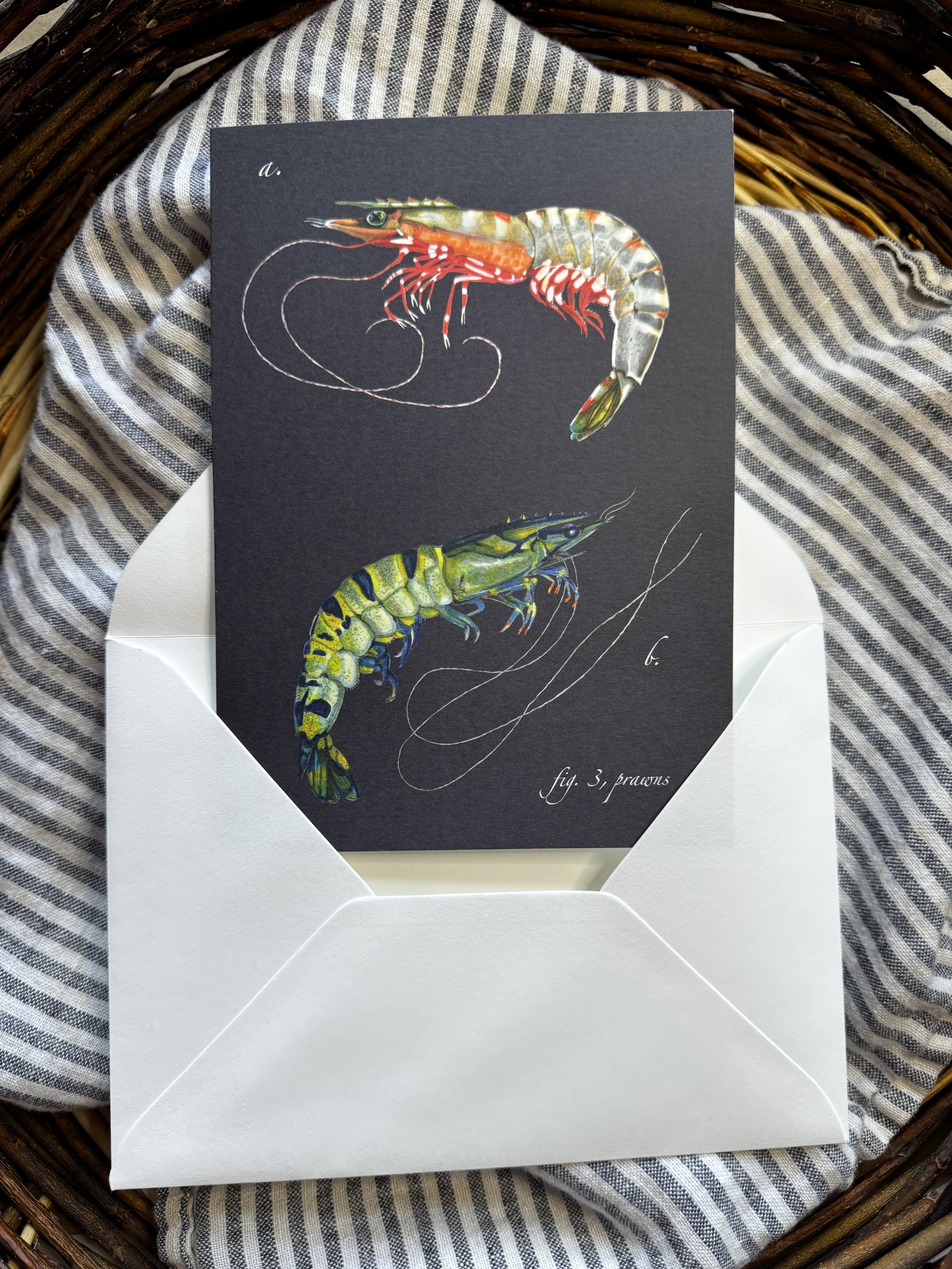 ‘Of the Sea’ folded note card set