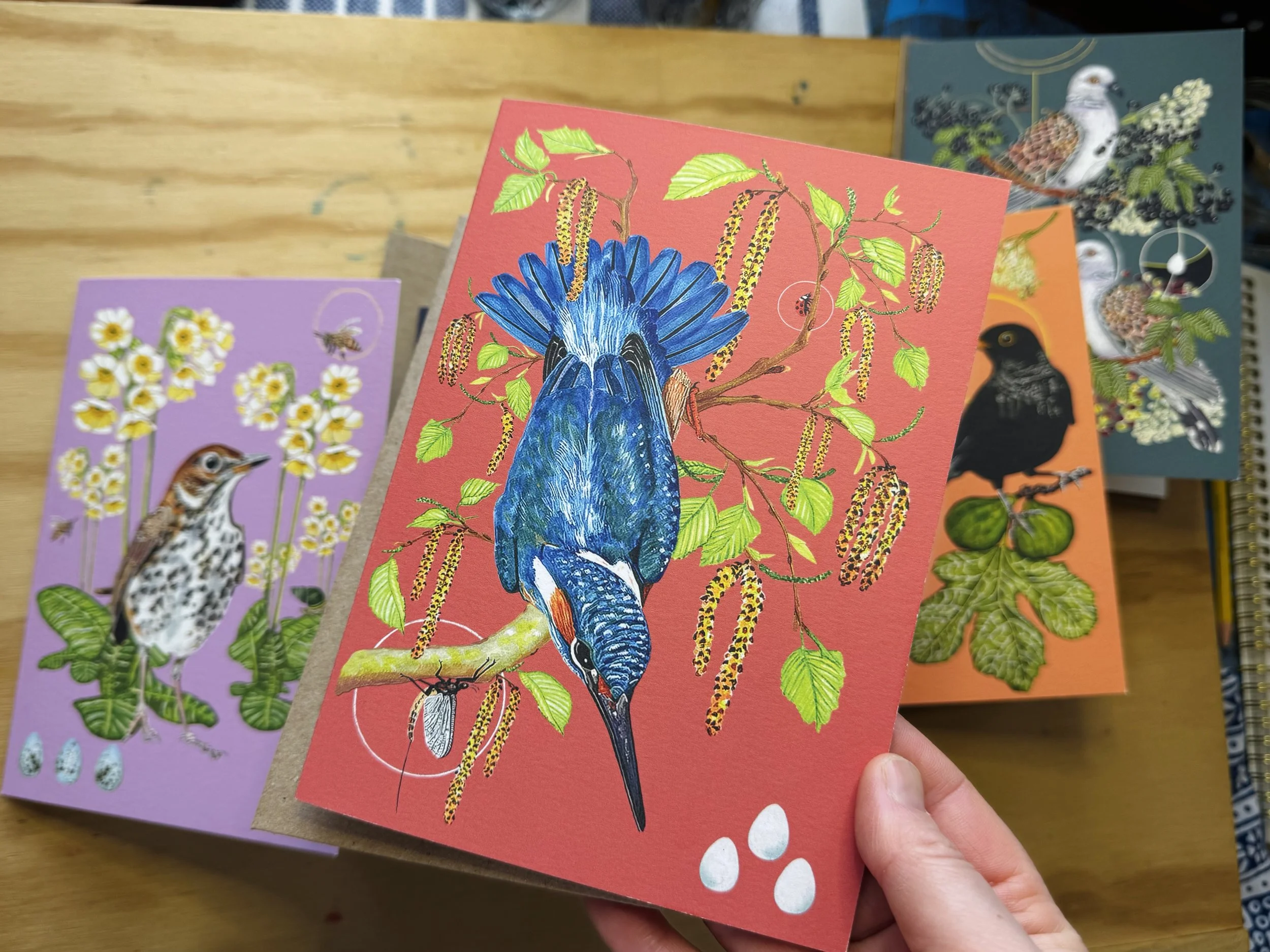 ‘Birds of Lore’ greeting cards