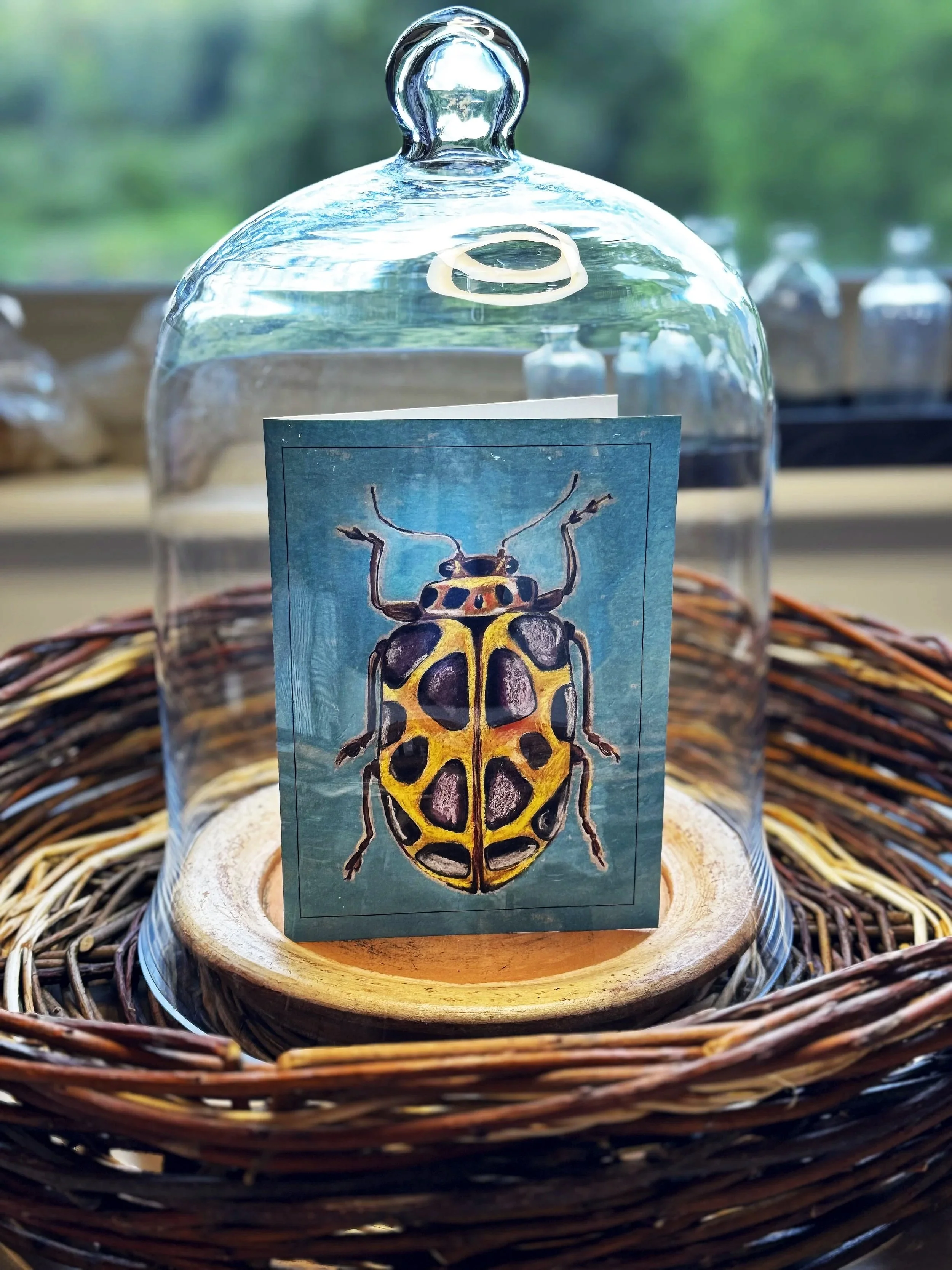 Beetle.cloche.jpg