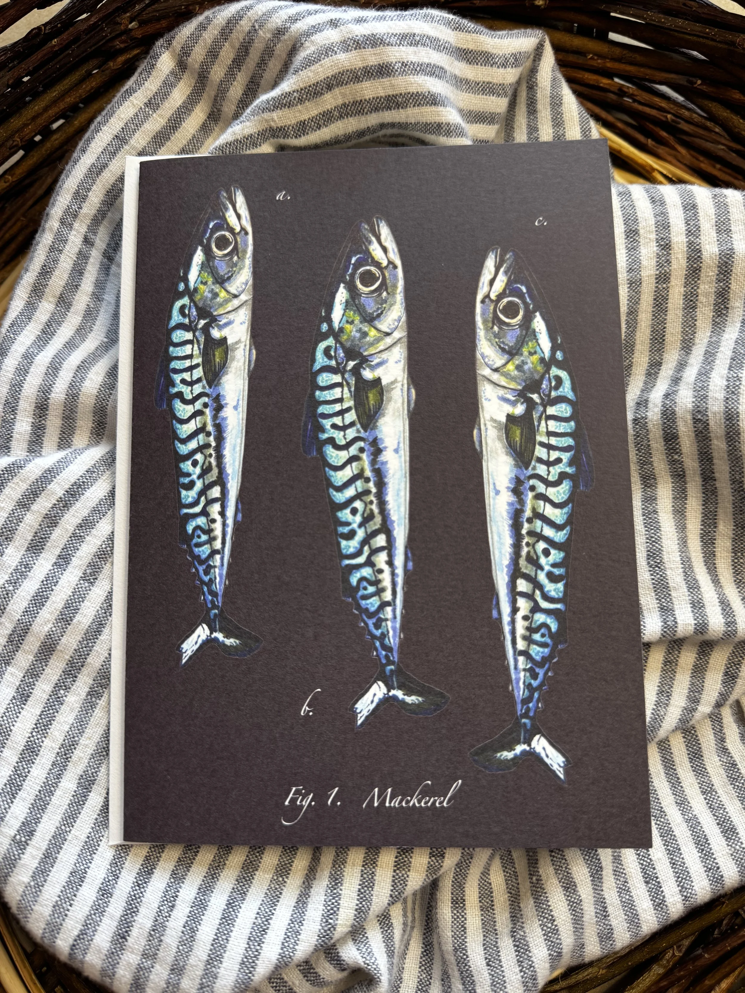 Mackerel.notecard.jpeg