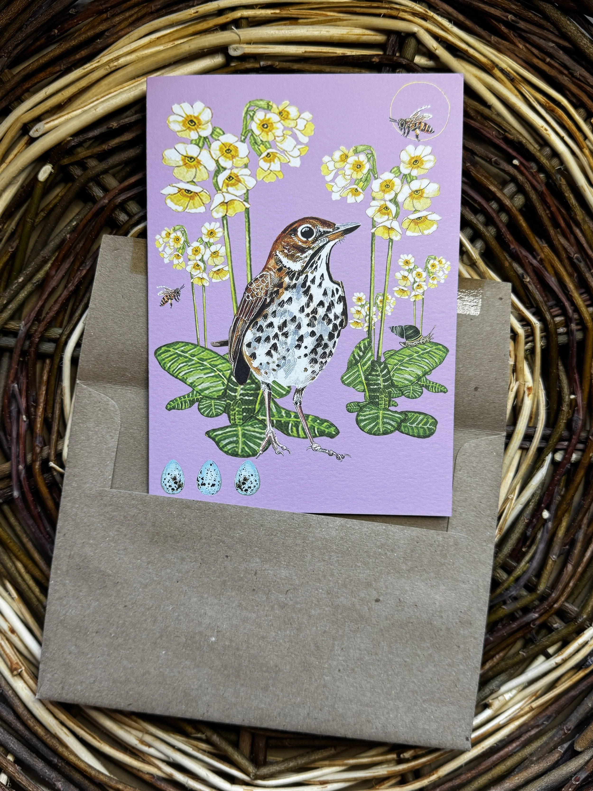 Songthrush.notecard-2.jpeg