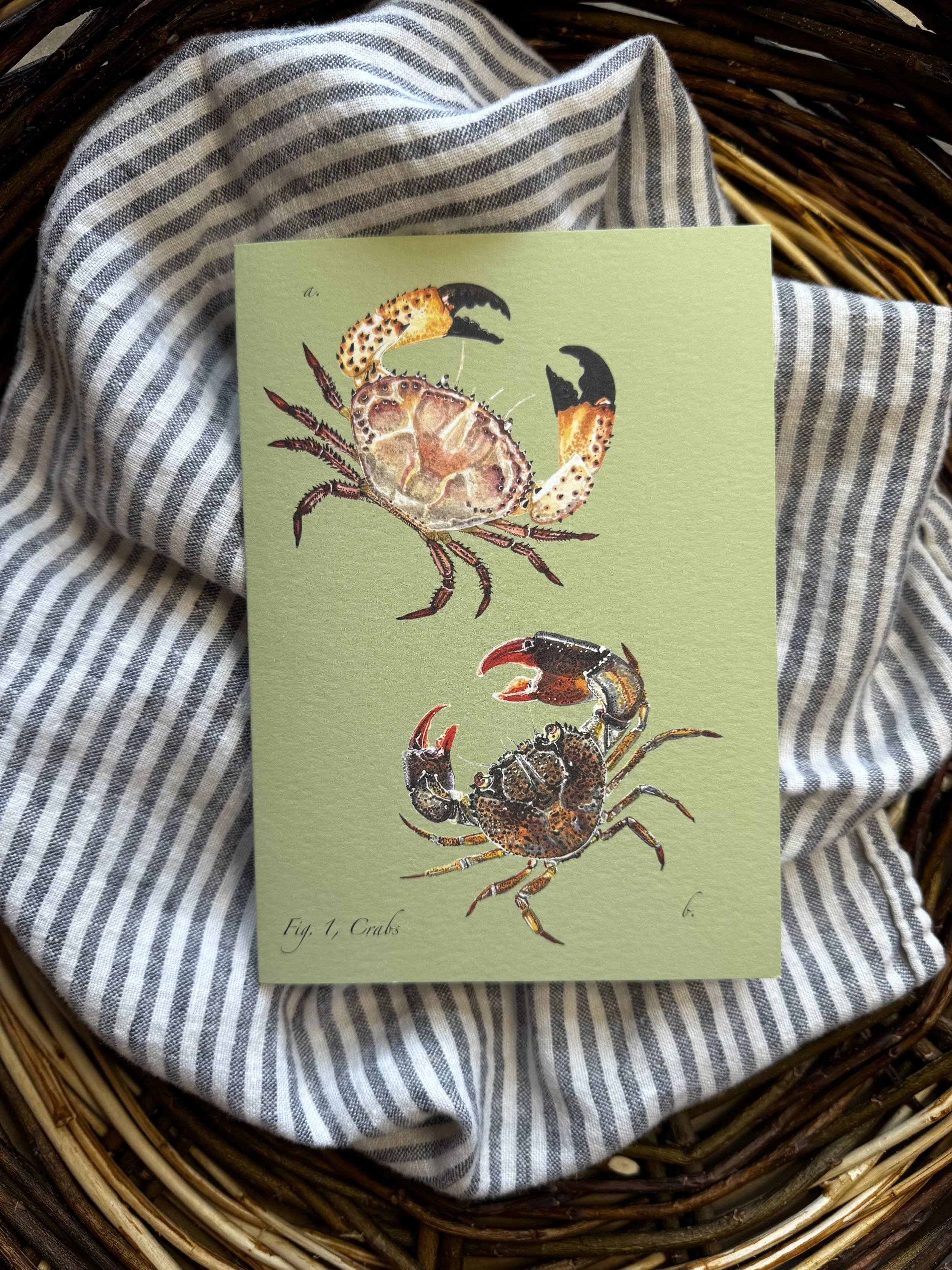 Crabs.notecard1.jpeg