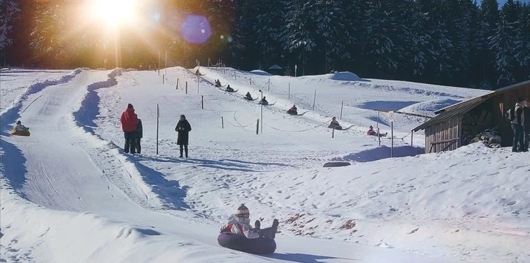 Kinder und Erwachsene, die auf Schneeschlitten den Hügel hinunterfahren, in einer verschneiten Winterlandschaft mit Sonnenlicht und Tannen im Hintergrund.