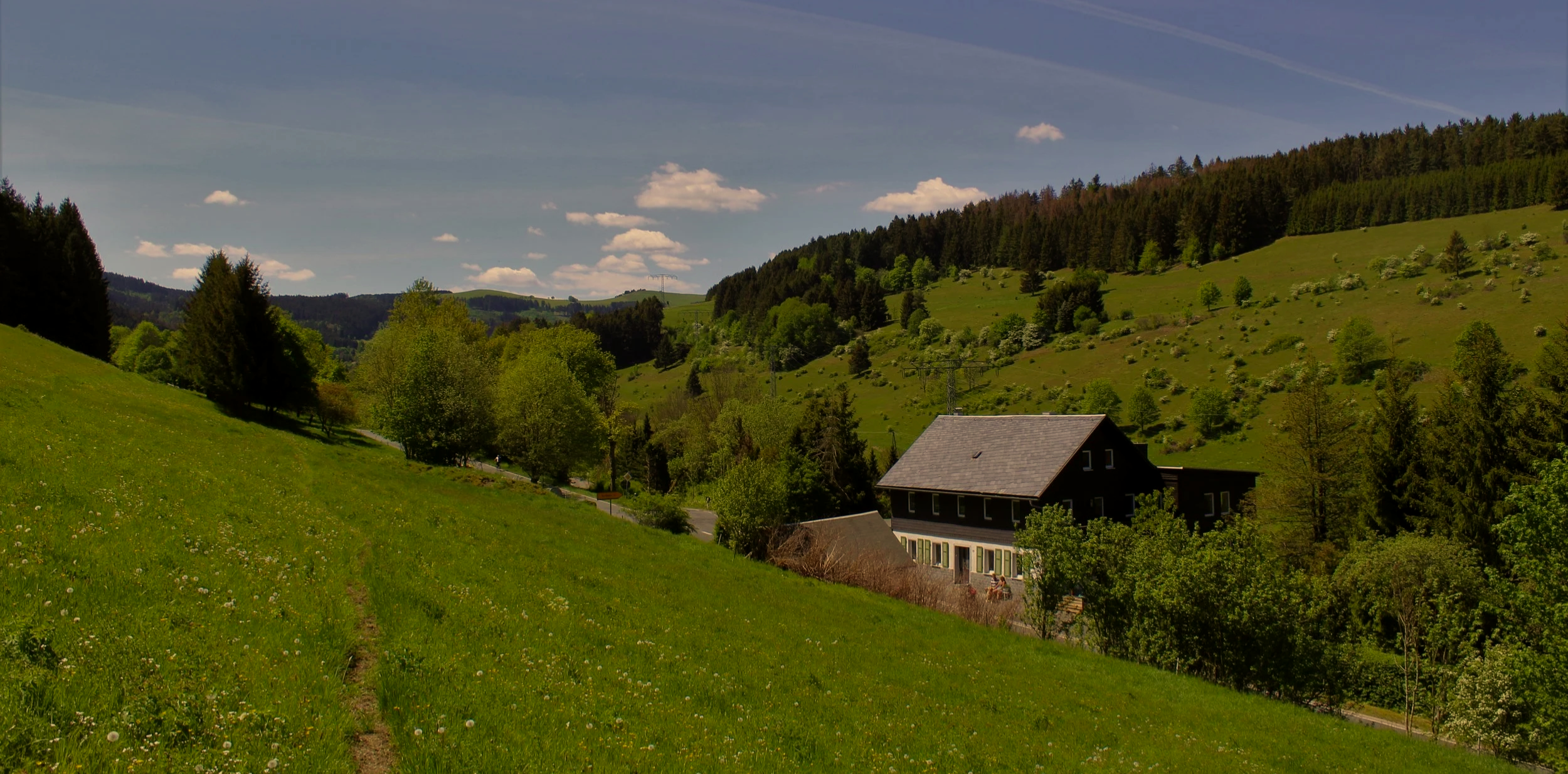 Landschaft mit grünem Hügelland, Bäumen, einem Haus und blauen Himmel mit Wolken.