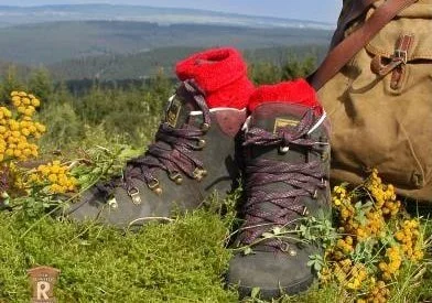 Wanderschuhe mit roten Socken auf einer grünen Wiese mit Gelbblumen, im Hintergrund Bäume und Himmel
