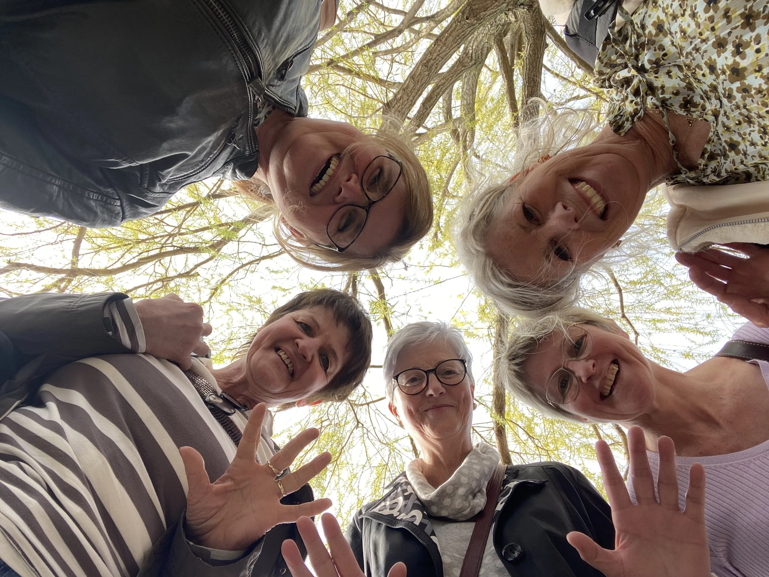 Gruppenunterkünfte für Menschen, die die Natur erleben möchten