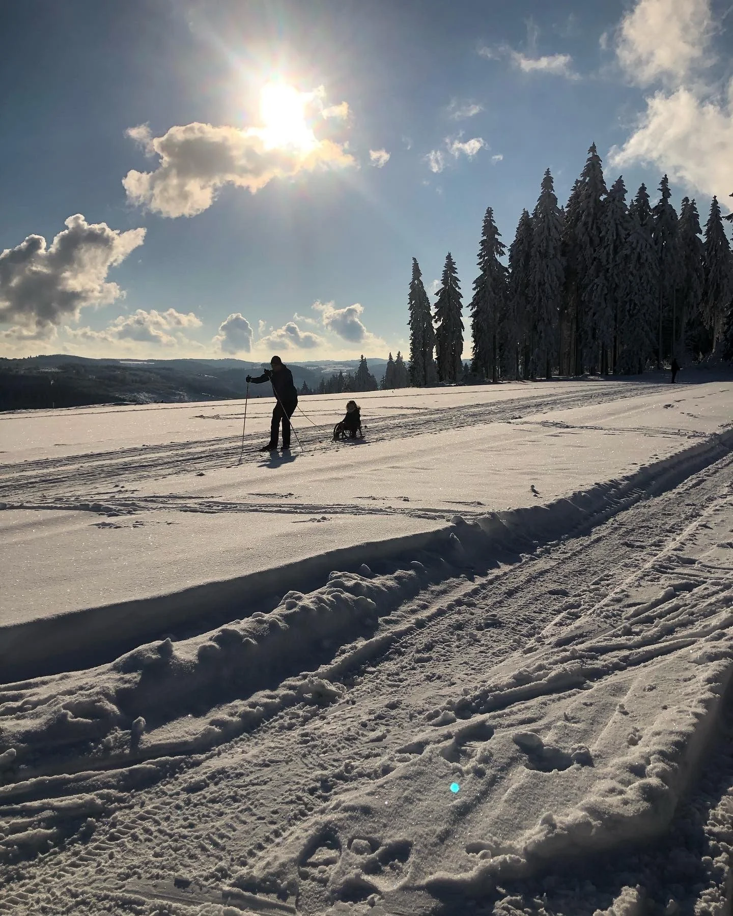 Personen beim Skilanglauf mit einem Kind im Kinderwagen in einer verschneiten Landschaft mit Bäumen und Wolken am Himmel, die Sonne scheint.