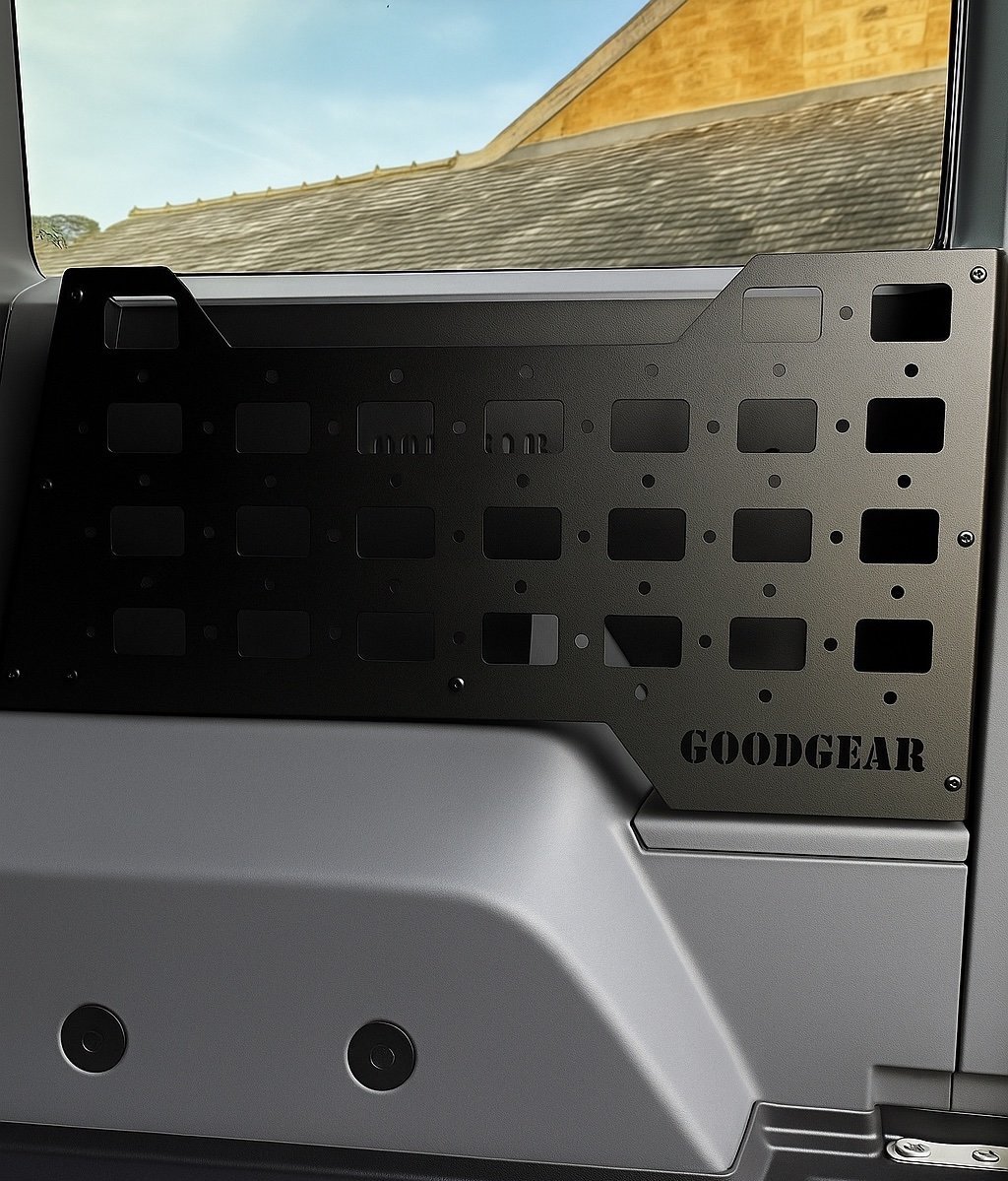 GOODGEAR+Panel+DS+copy.jpg