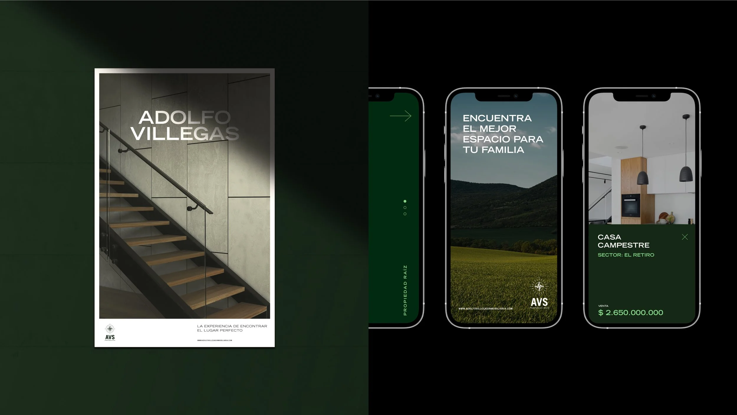 AVS - Nocturna Studio Website-05.jpg