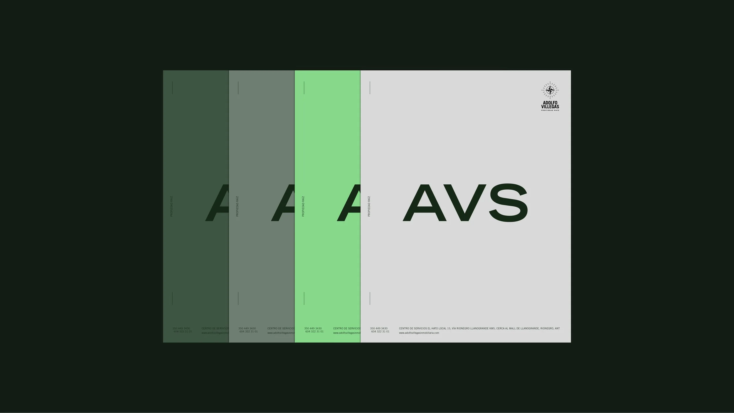 AVS - Nocturna Studio Website-03.jpg