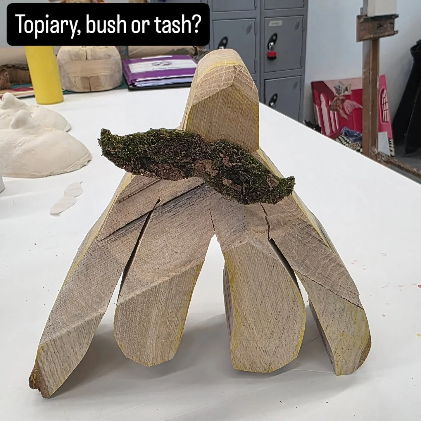 Topiary, bush or tash?