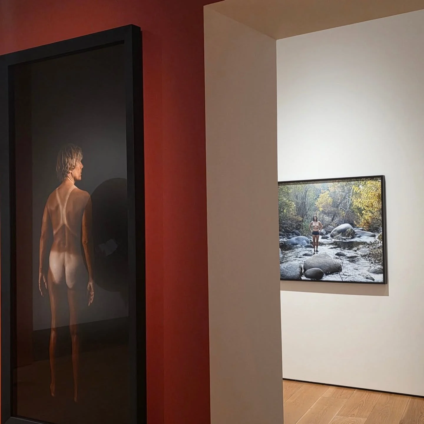 Cathrine Opie, To Be Seen, at the National Portrait Gallery. 
Some of you may know I have an interest in 'wild' swimming. These portraits, Diana Nyad, who swam from Cuba to Florida at 64 yo
 and Julie, a friend of Opie, therefore caught my attention.