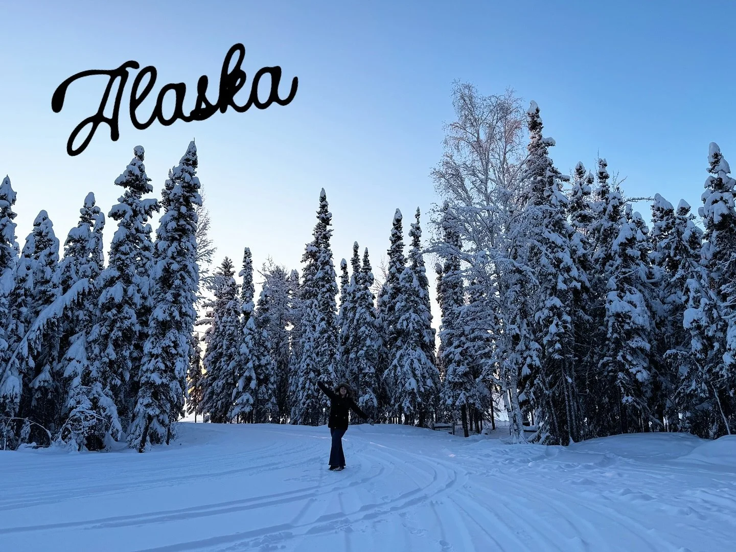 Hello from Alaska❄️👋🏻

-40*F🥶

So far, I&rsquo;ve seen reindeer, an astronomical amount of snow, and the most amazing views.

Stay tuned for mushing and auroras🤭

#christianwomen #lifestyle #travel #fitnesscoach #alaska