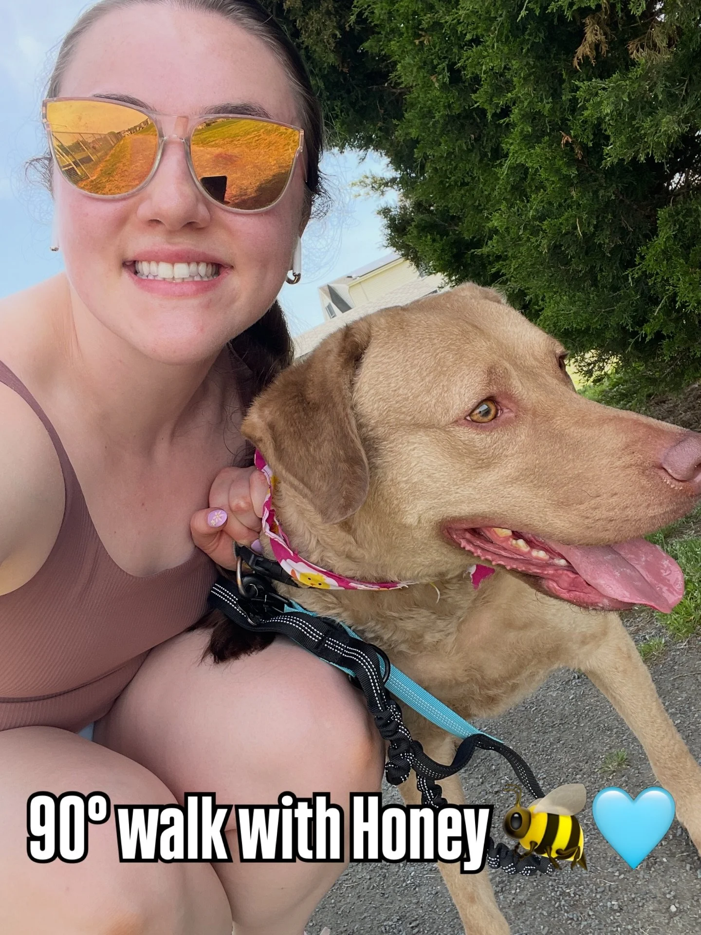 Perfect day for a walk with my favorite girl 🐾 💜 

#lifestyle #walk #fitnessmotivation #womensfitnesscoach #sunshine