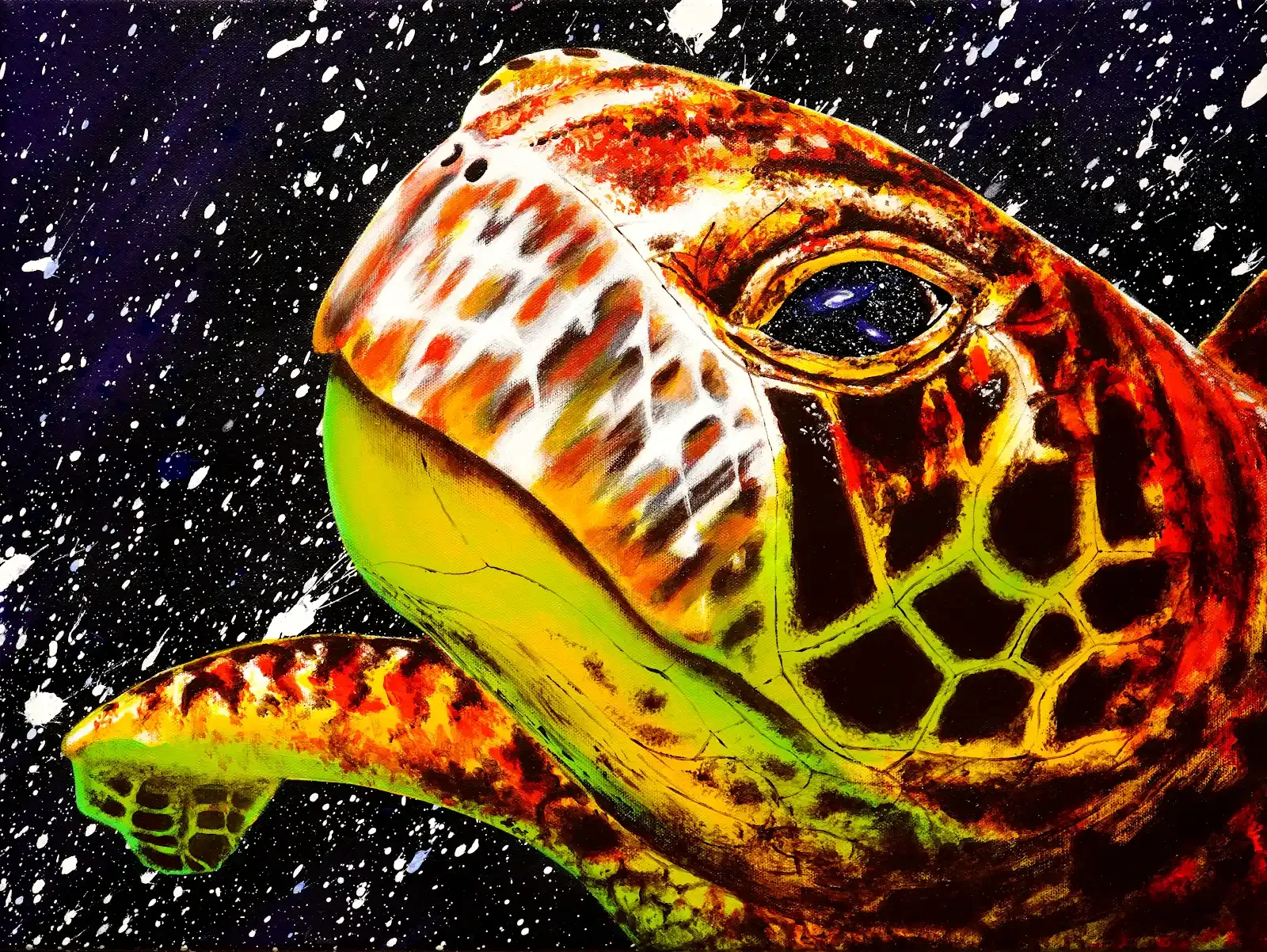 Cosmic Turtle.webp