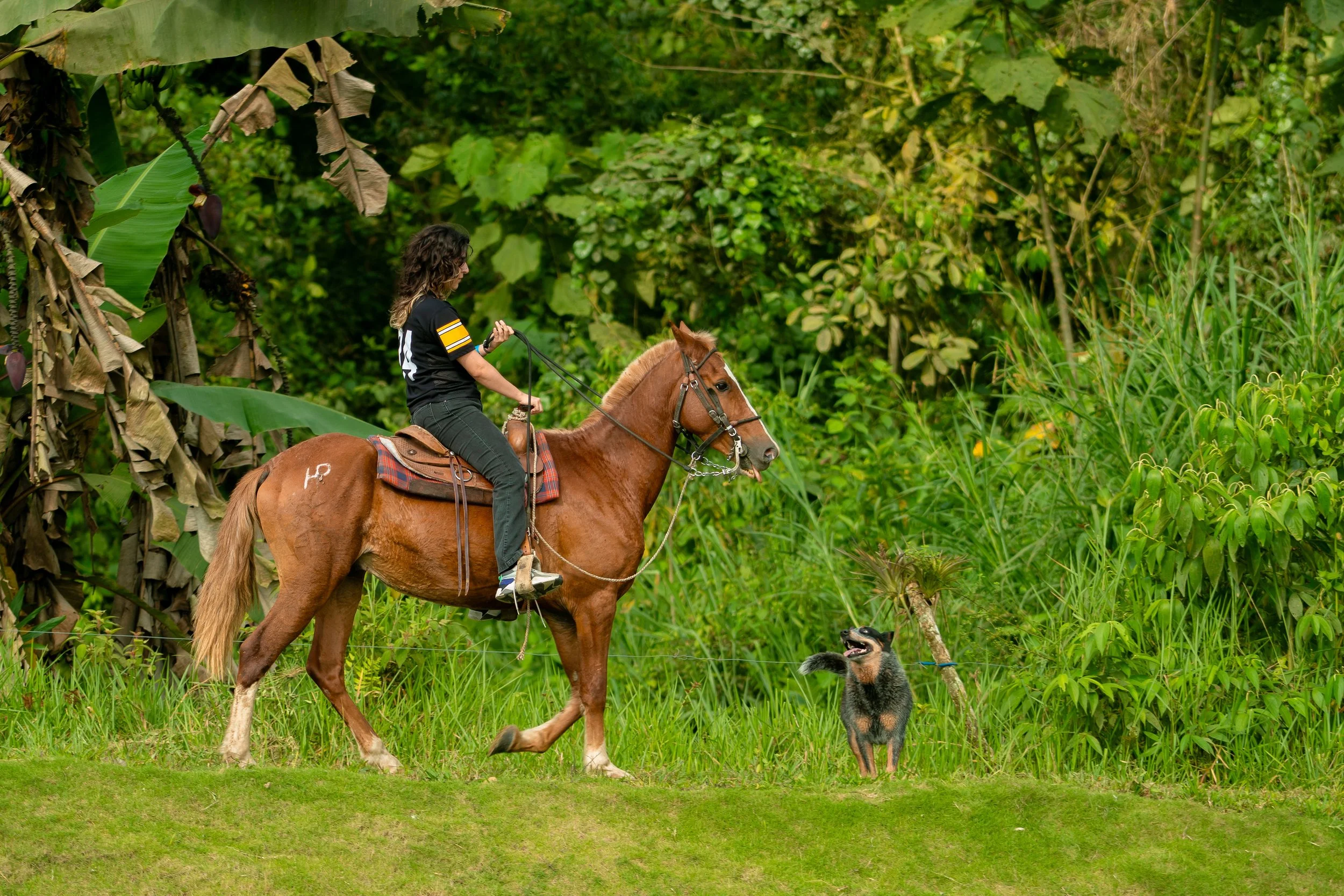 Horse Riding Adventure