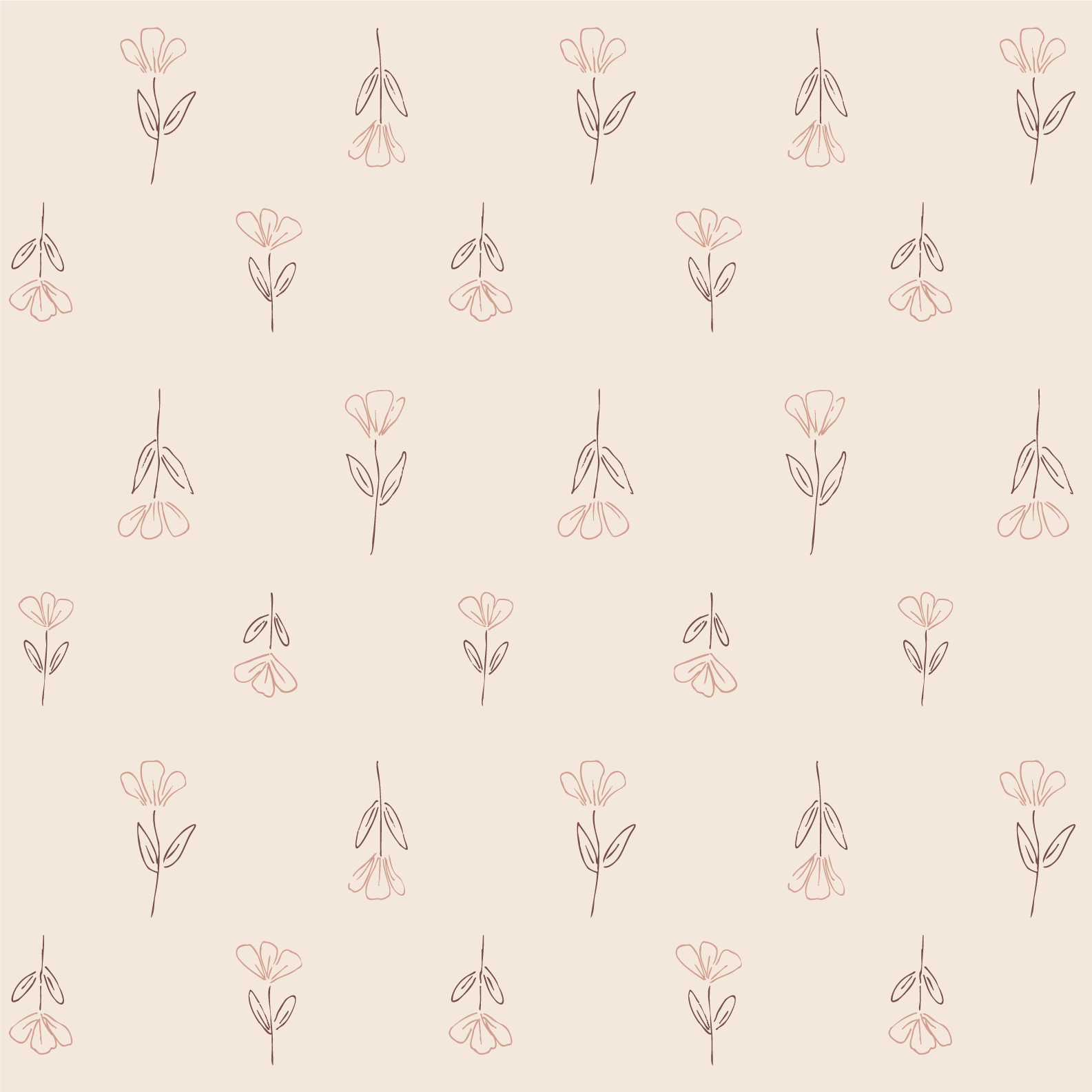 Soft Awakening-127.png