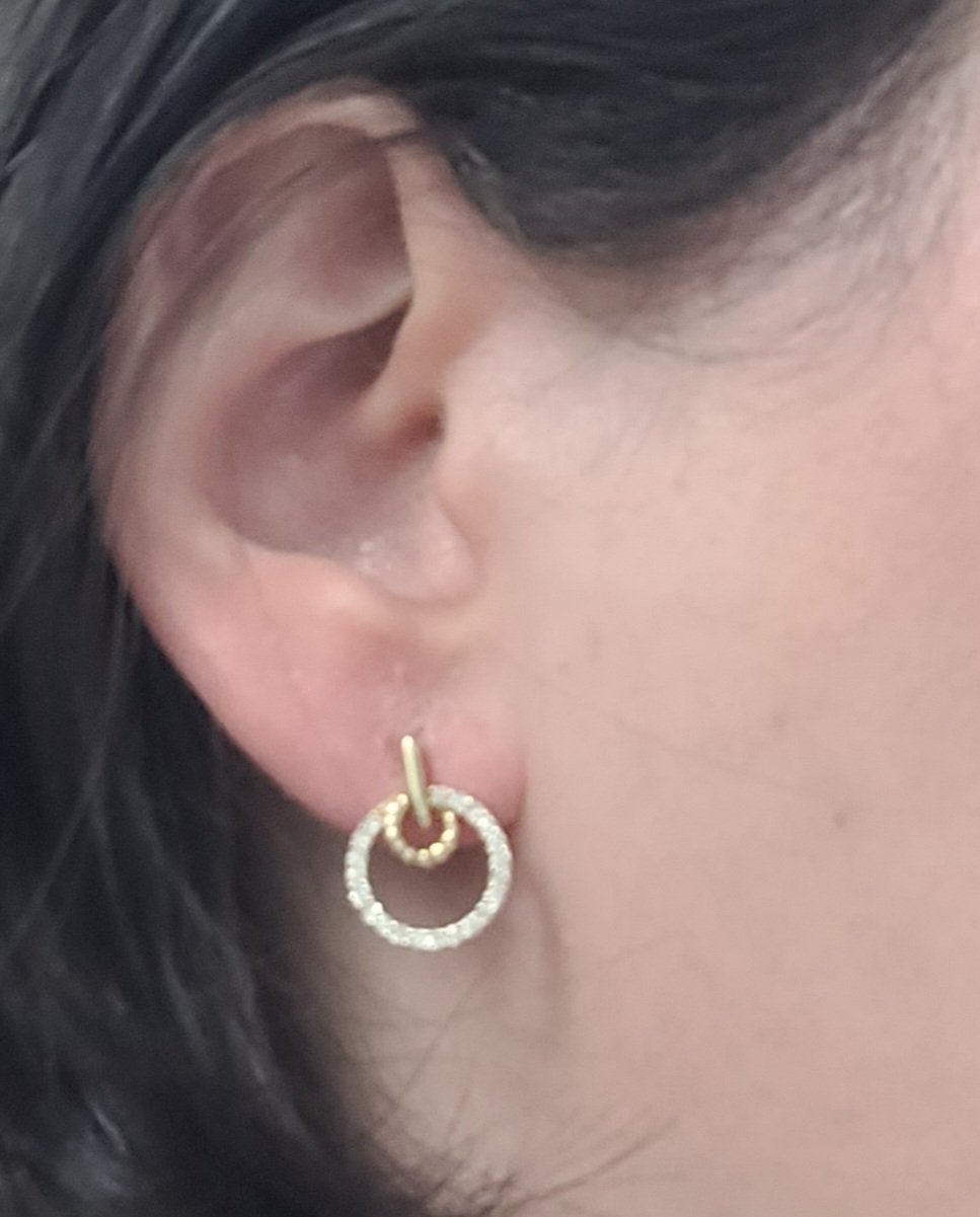 ear 2.jpg
