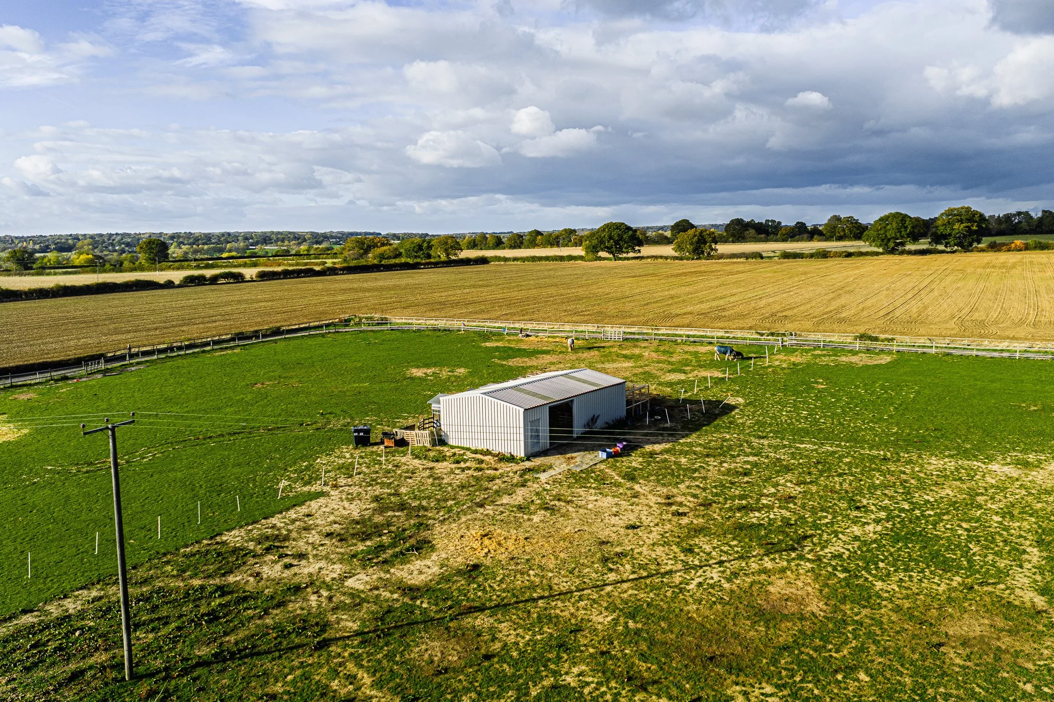 DJI_20251027142519_0056_D.jpg