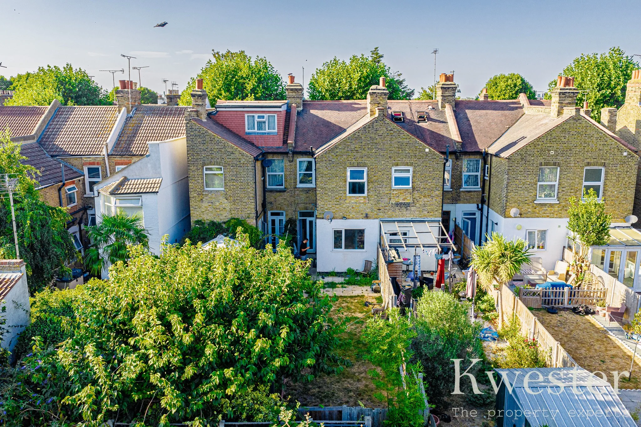 DJI_20260813175236_0074_D-watermarked.jpg