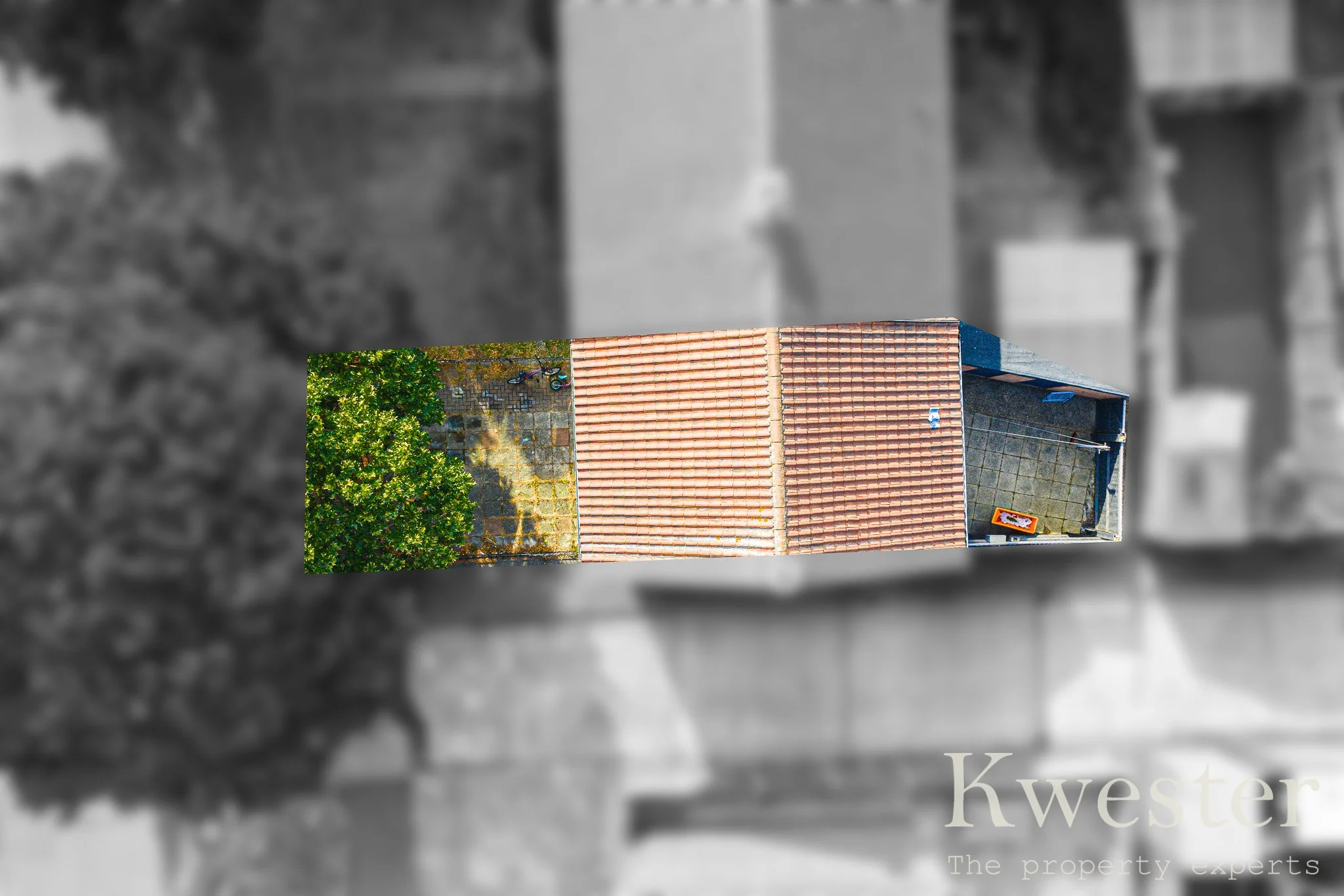 birds eye-watermarked.jpg