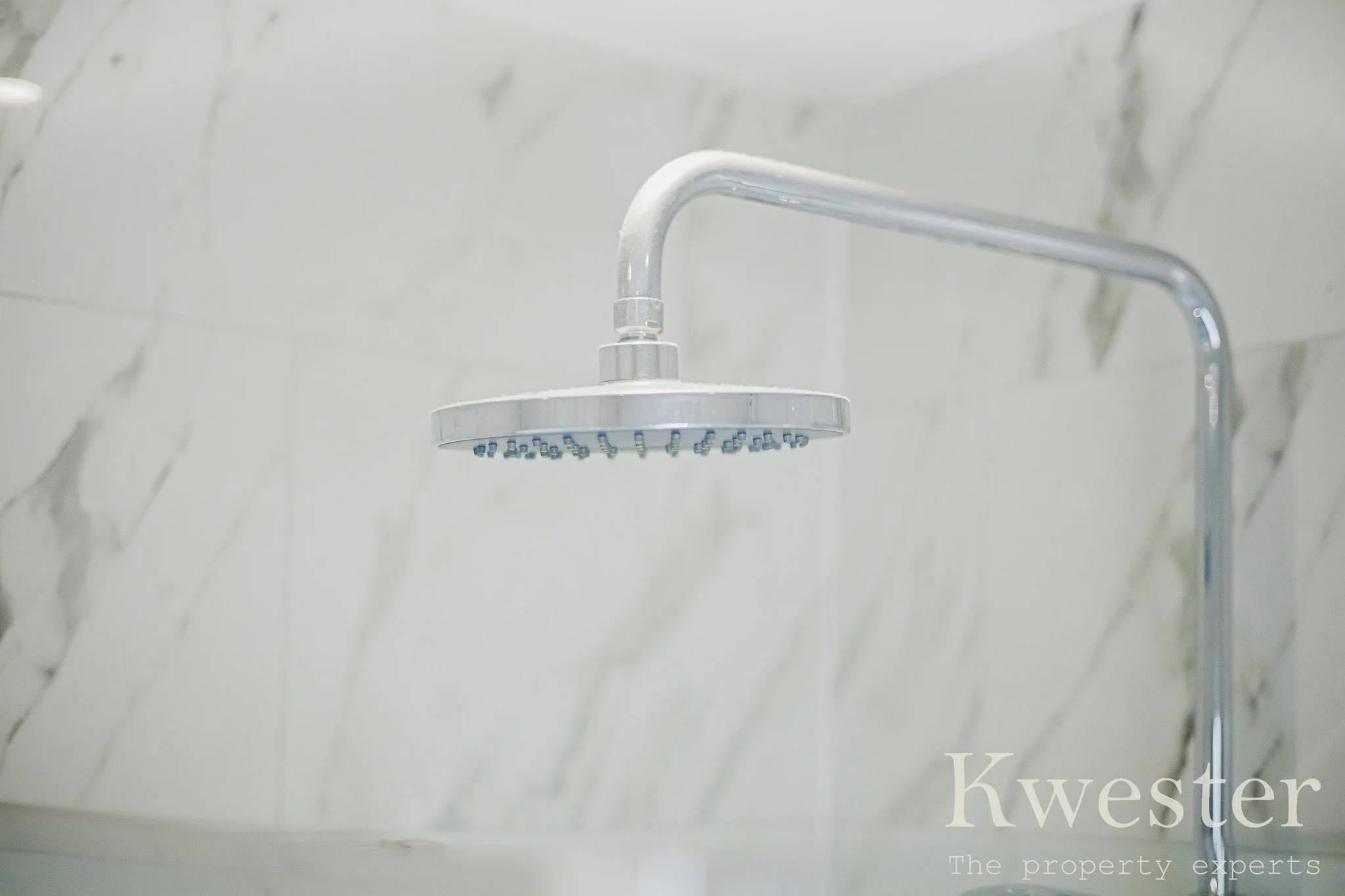 131A6110-watermarked.jpg