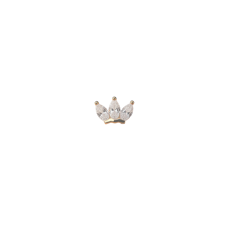 Untitled design (3).png