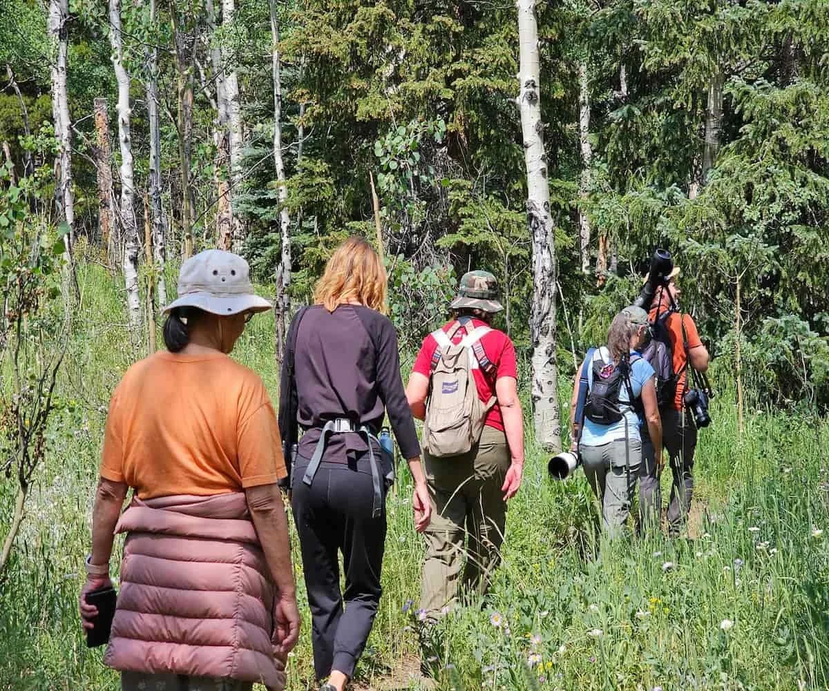 Half Day Field Trip: Exploring Colorado's Living Landscapes