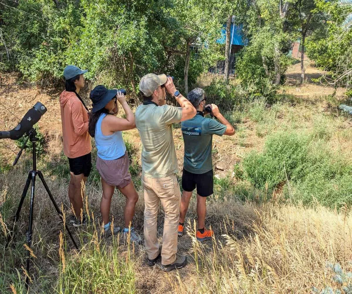 Full-Day Field Trip: Spring Migration in Rocky Mountain National Park