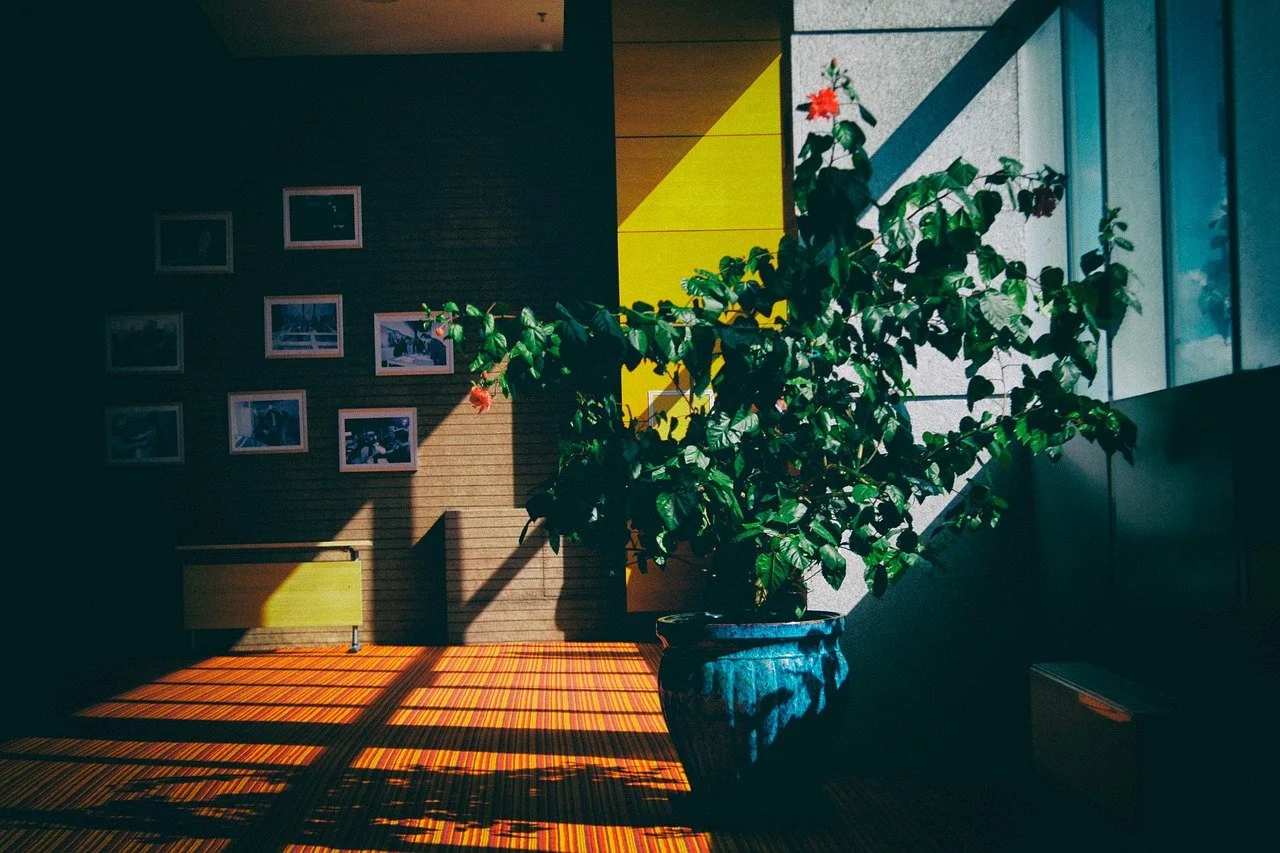 Biophilic Design Certificate