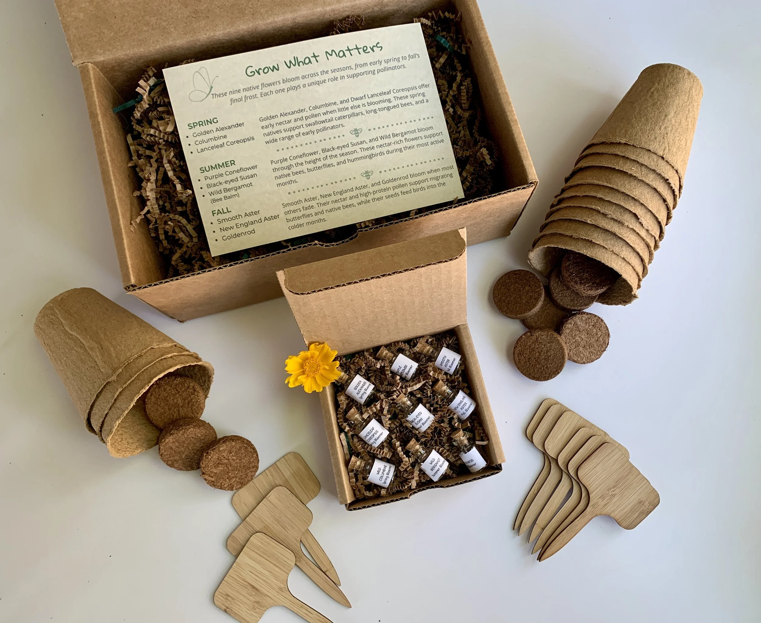 Seasons of Bloom kit with biodegradable pots, coir soil discs, bamboo plant markers, and nine native flower seed vials