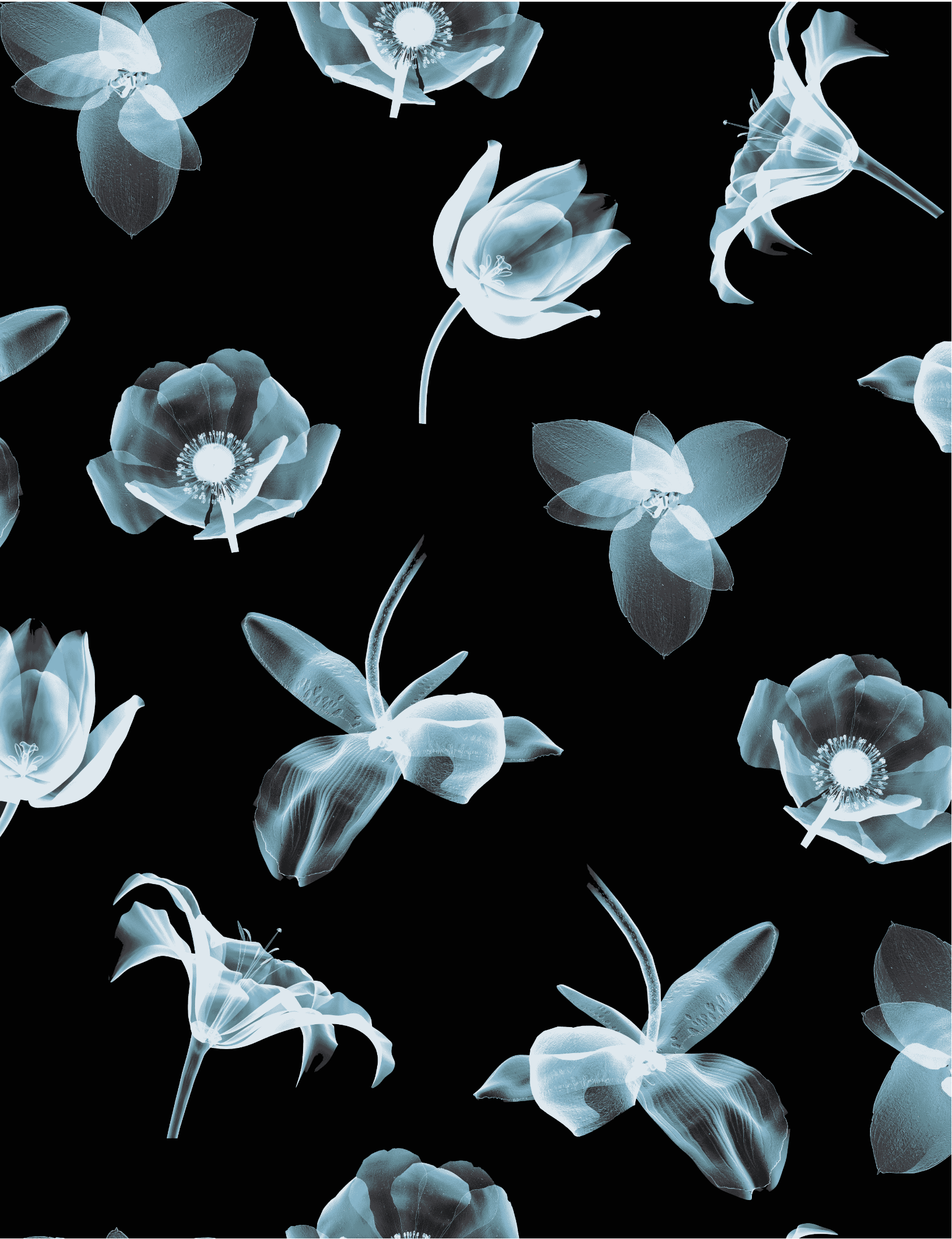 Screenshot 2025-02-20 at 12.42.12 PM.png