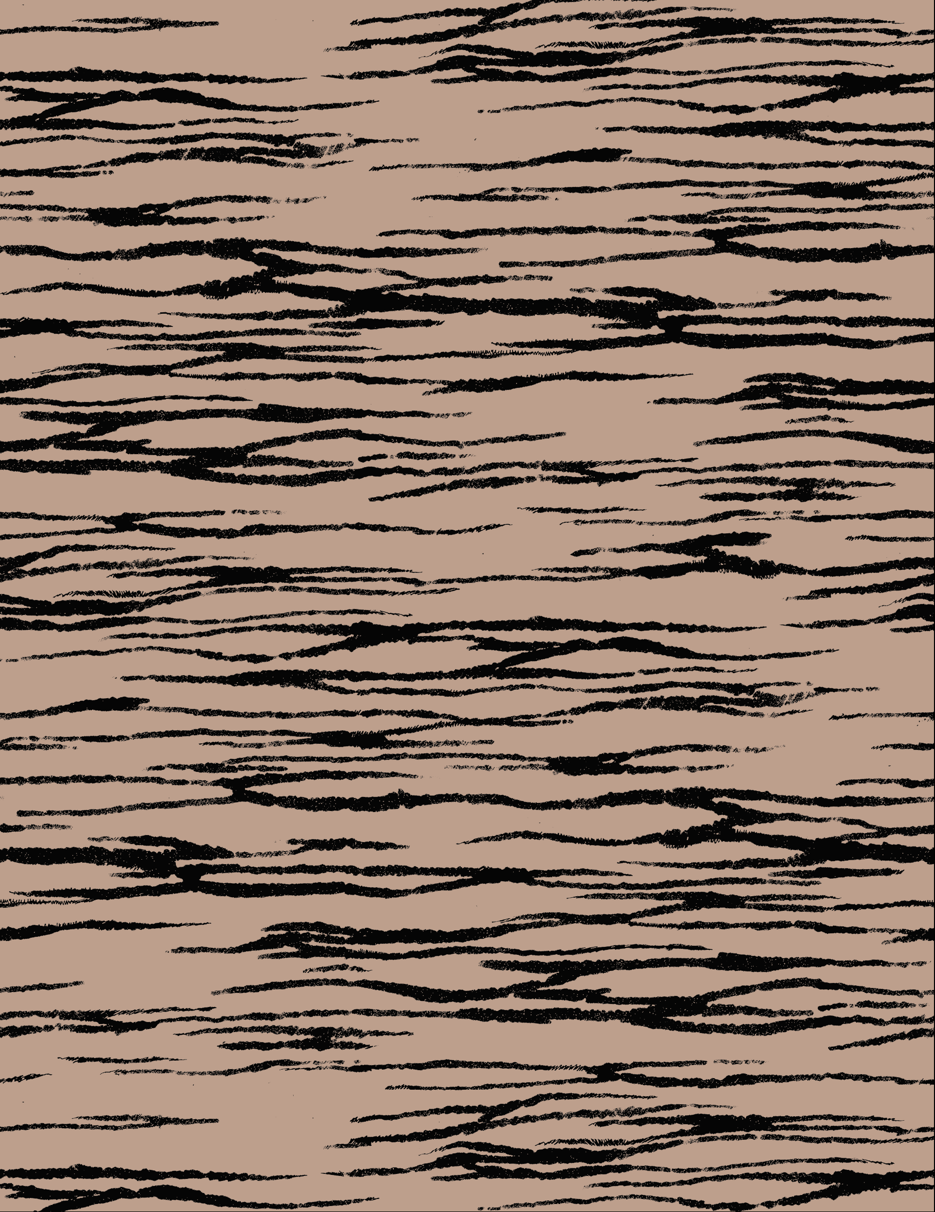 Screenshot 2025-02-21 at 12.07.52 PM.png