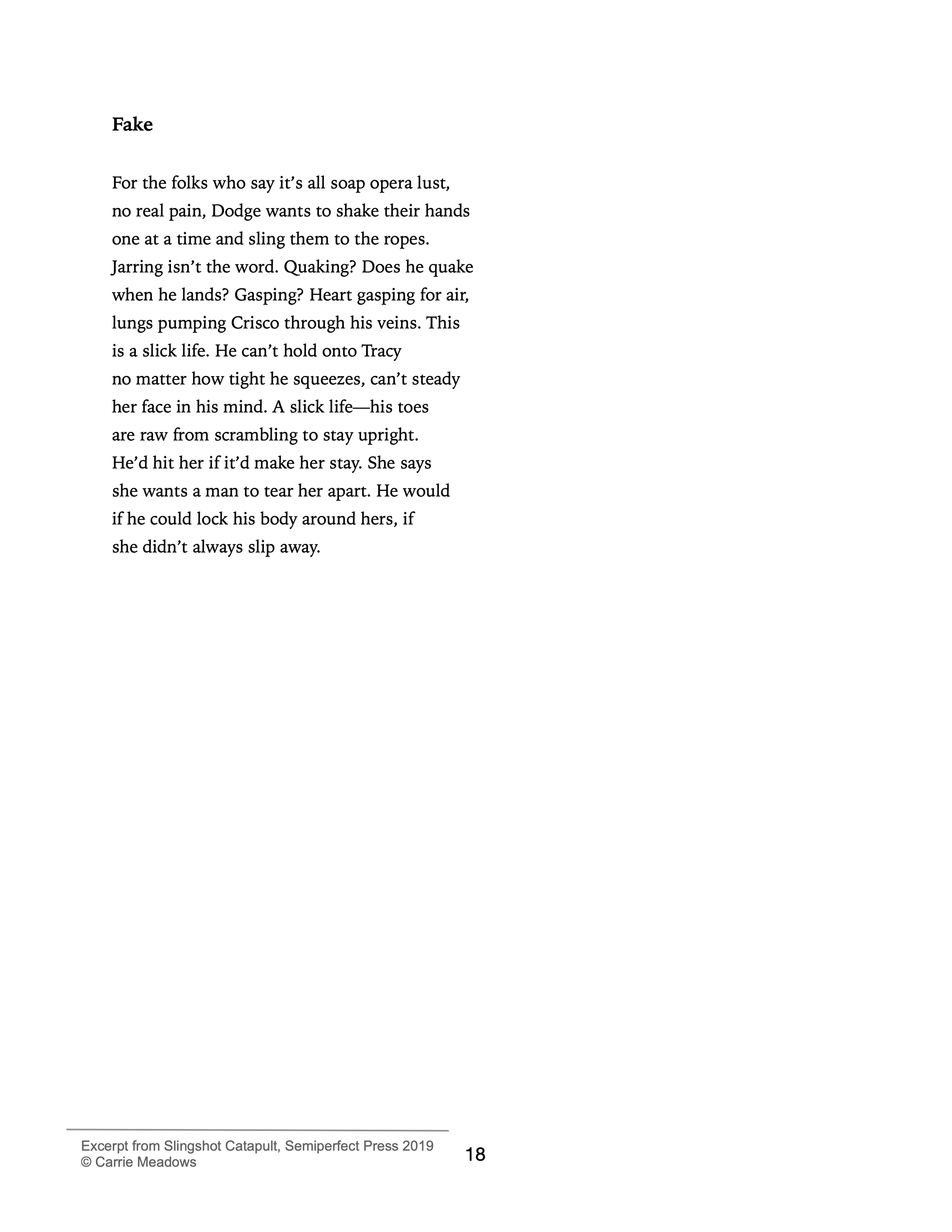 Fake - Poem by Carrie Meadows