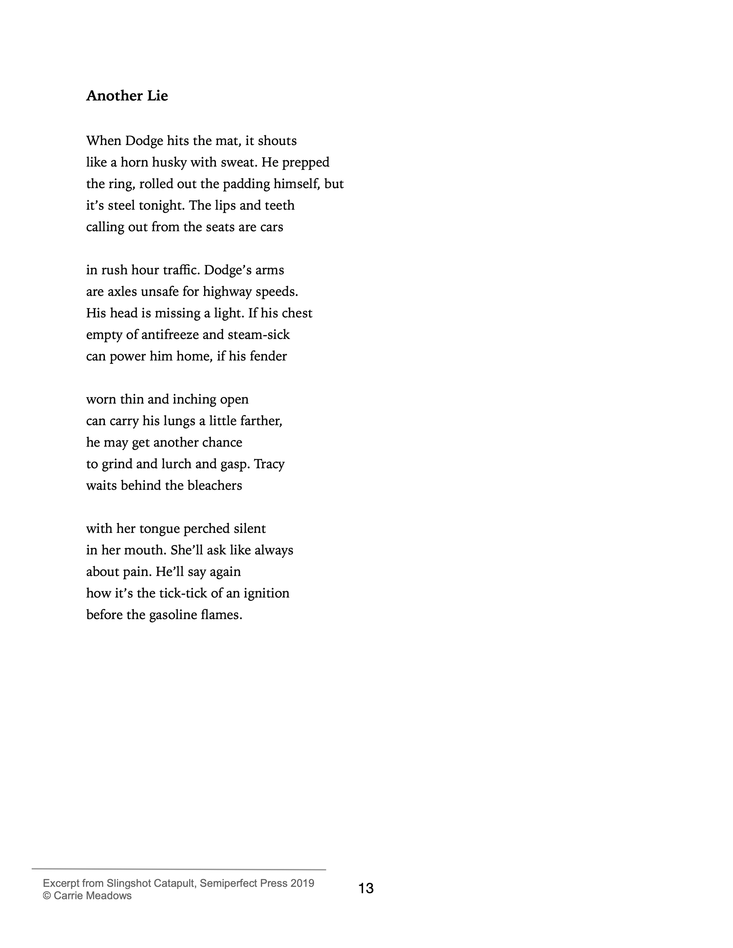 Another Lie - Poem by Carrie Meadows