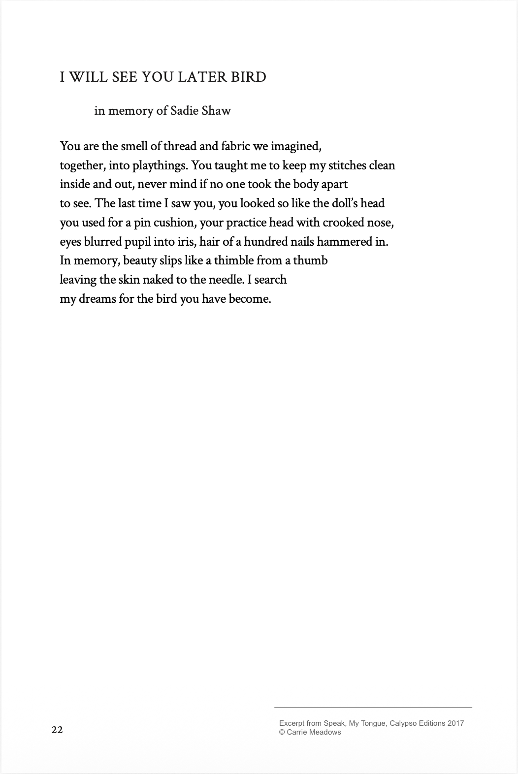 I Will See You Later Bird - Poem by Carrie Meadows