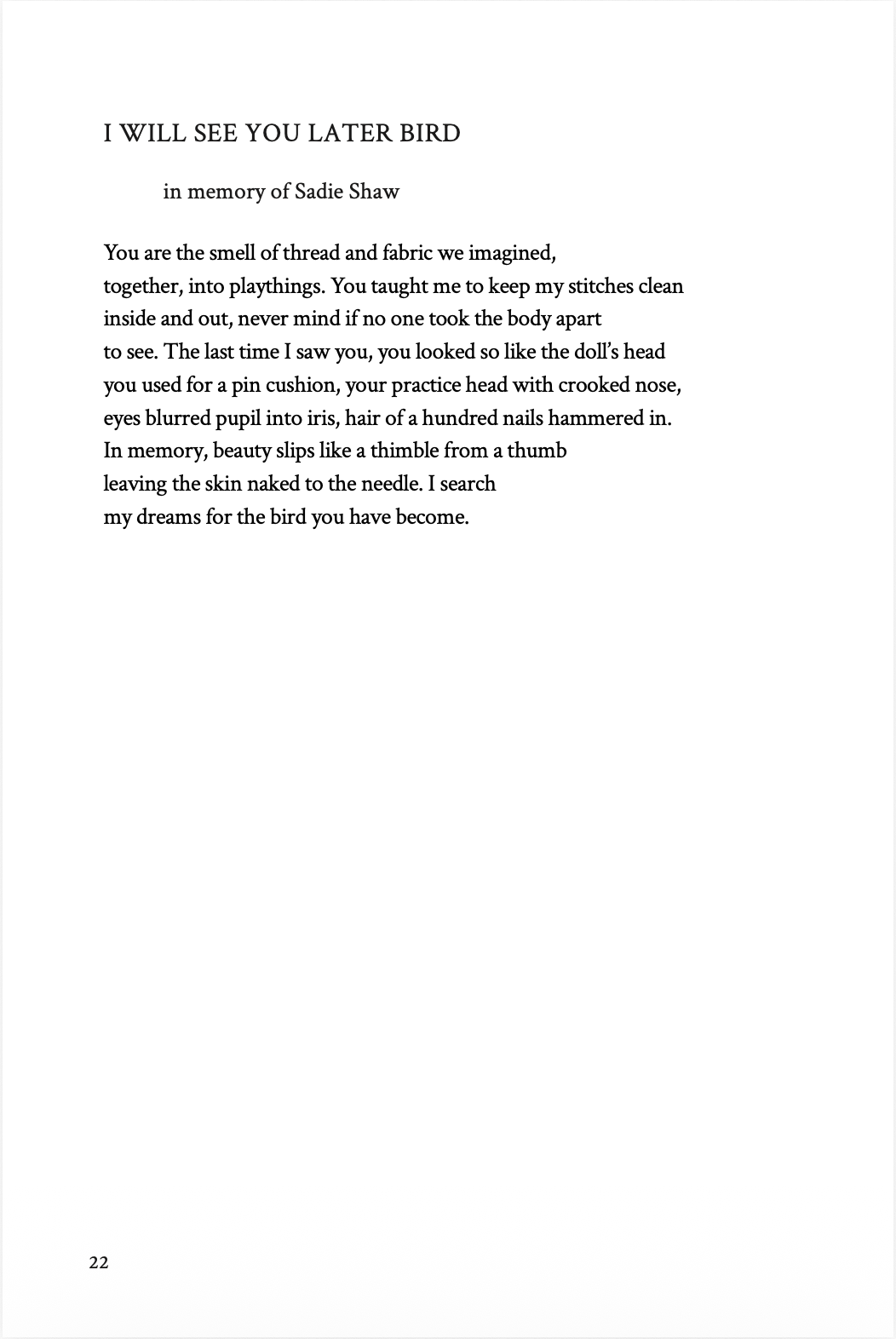 I Will See You Later Bird - Poem by Carrie Meadows