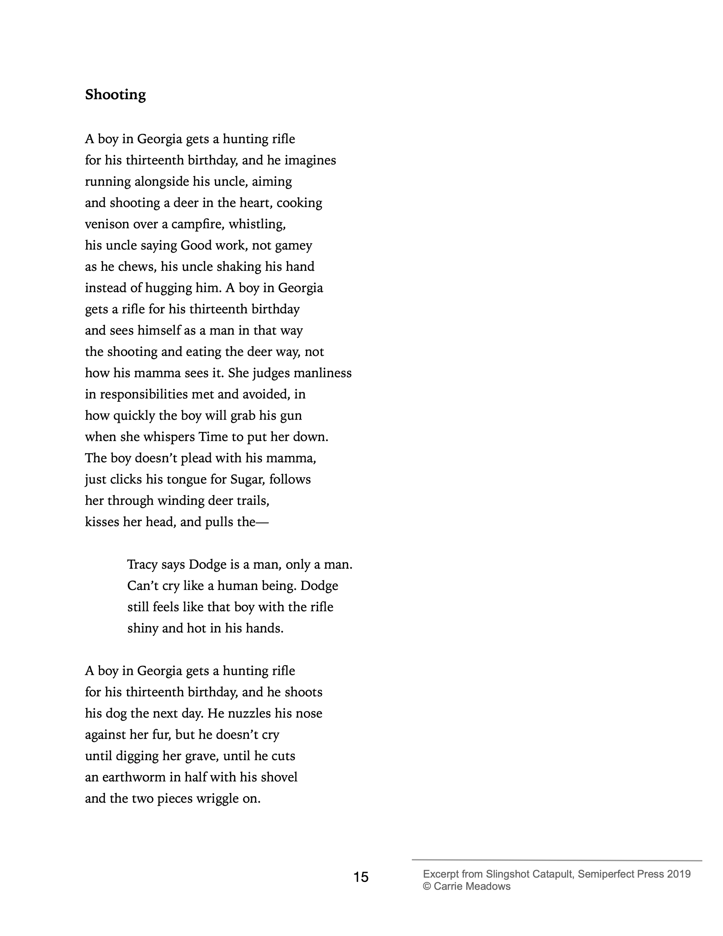 Shooting - Poem by Carrie Meadows