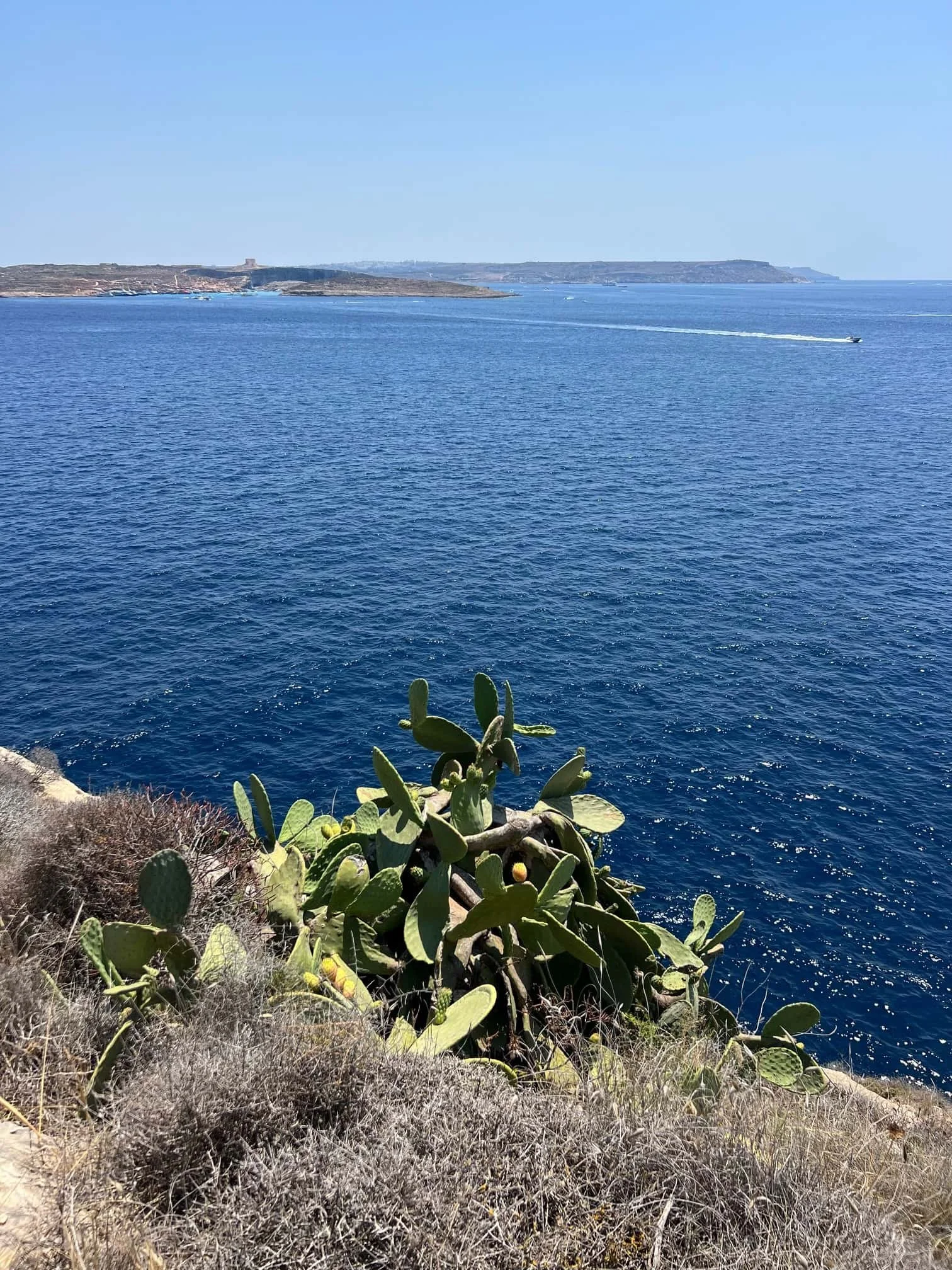 A panoramic view of Comino Island and the Blue Lagoon seen from the Gozo coastal trail.