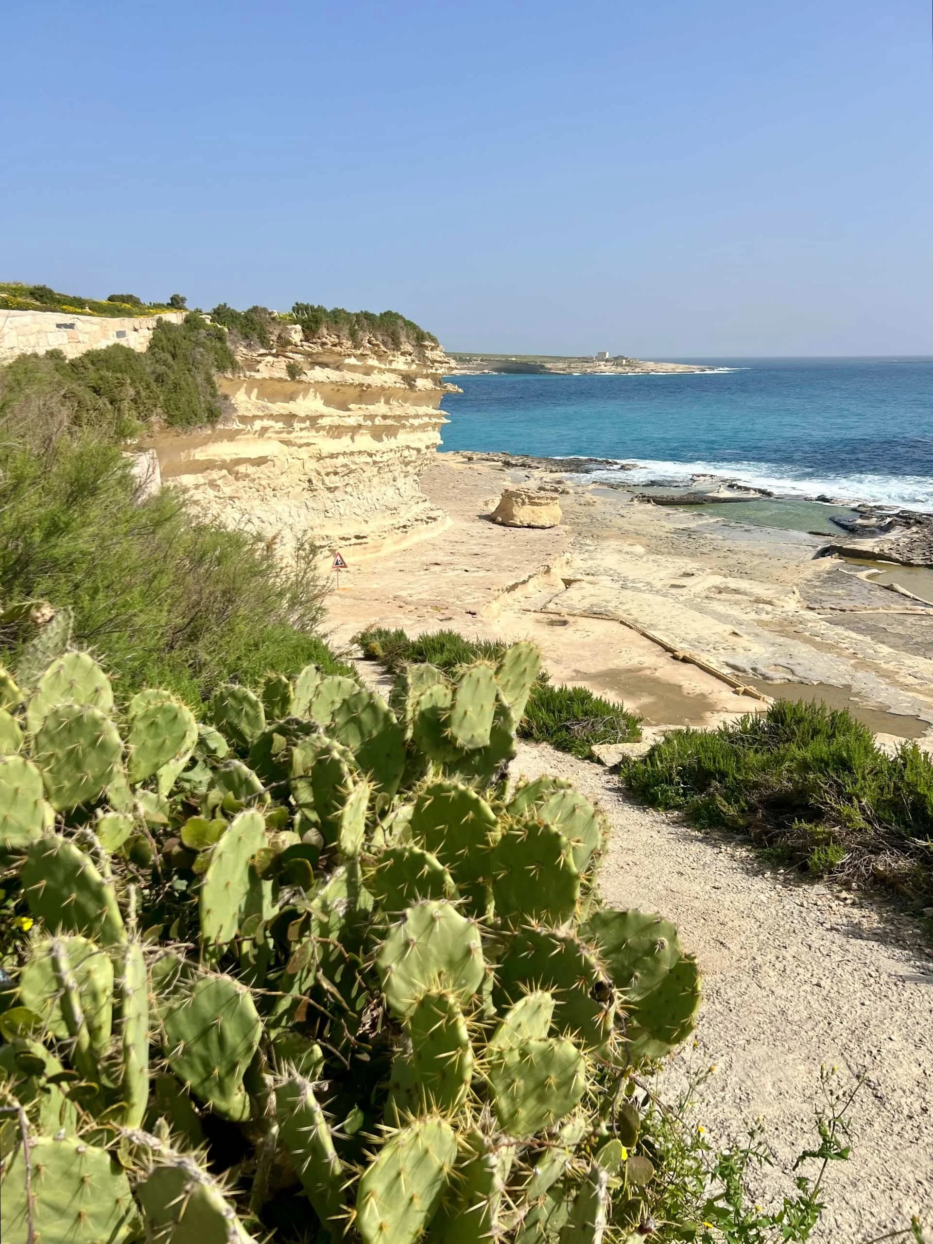 A coastal hiking path lined with green prickly pear cacti leading towards the limestone cliffs and salt pans.