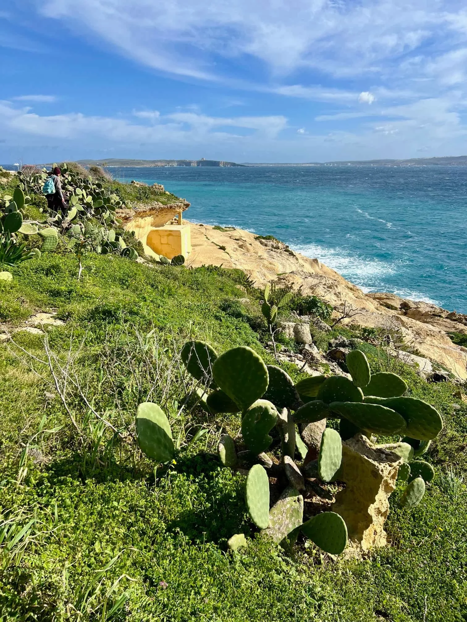 hiking-gozo-winter-green-hills-cactus.jpg