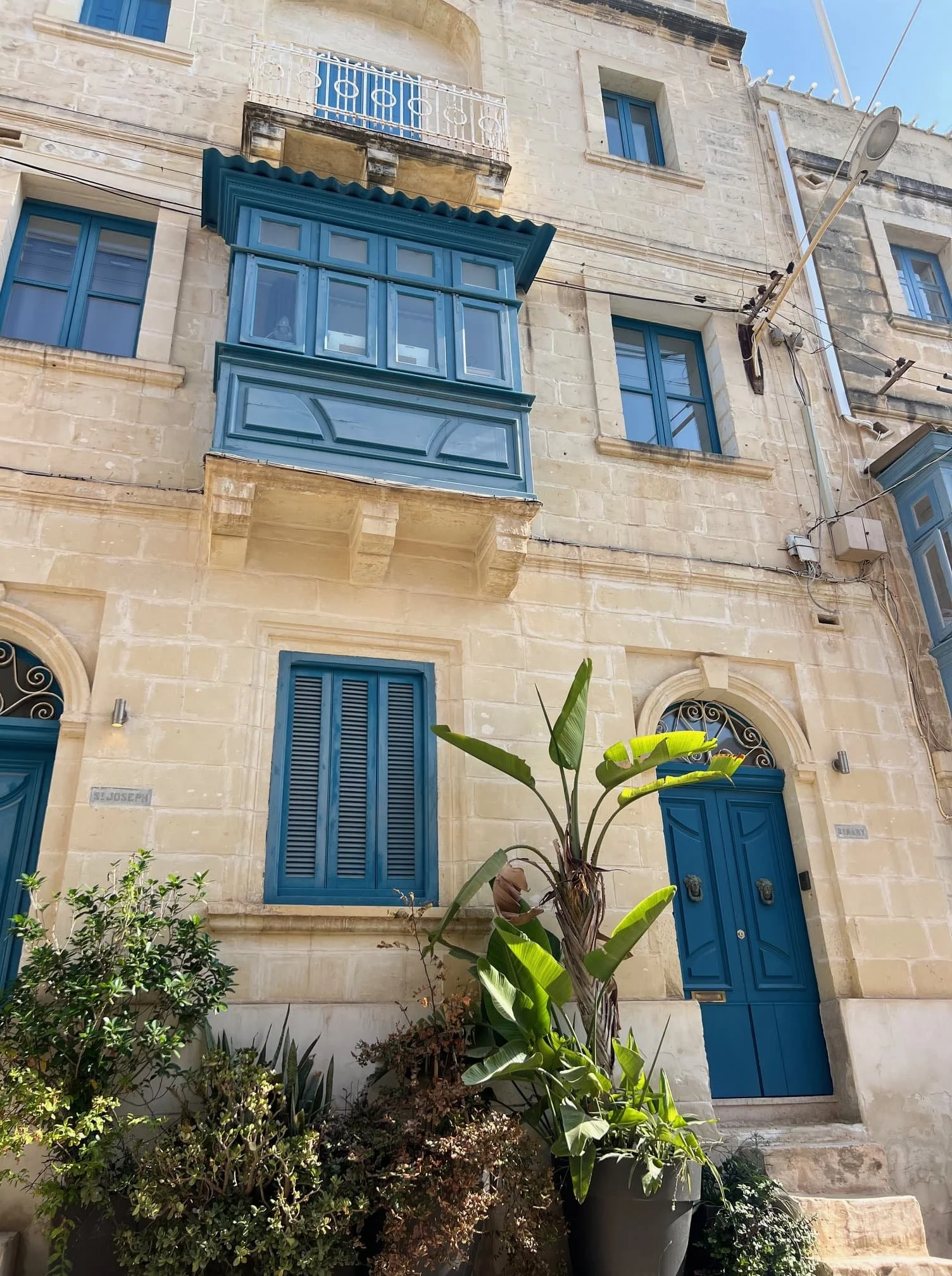 A classic Maltese limestone townhouse entrance decorated with a large green plantain plant.