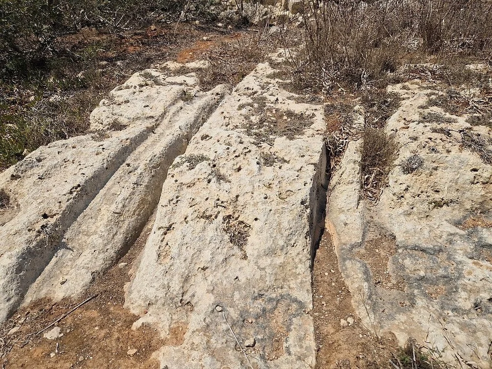 Ancient prehistoric cart ruts on the rocky plateau of Ta' Cenc.