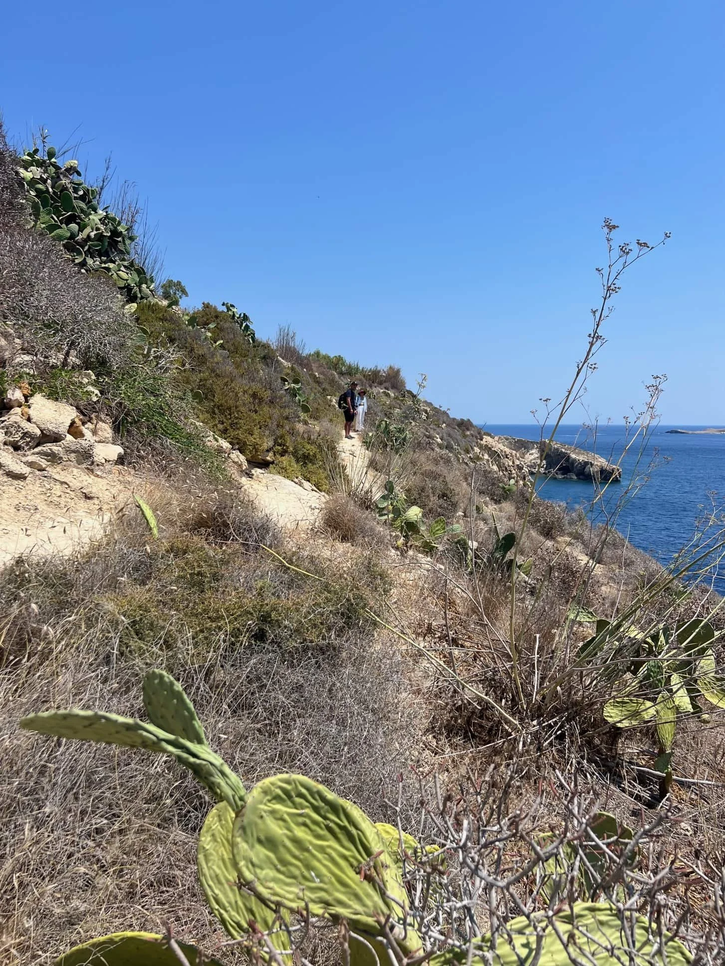 The dry, rocky coastal path leading away from Mgarr Harbour under the summer sun.