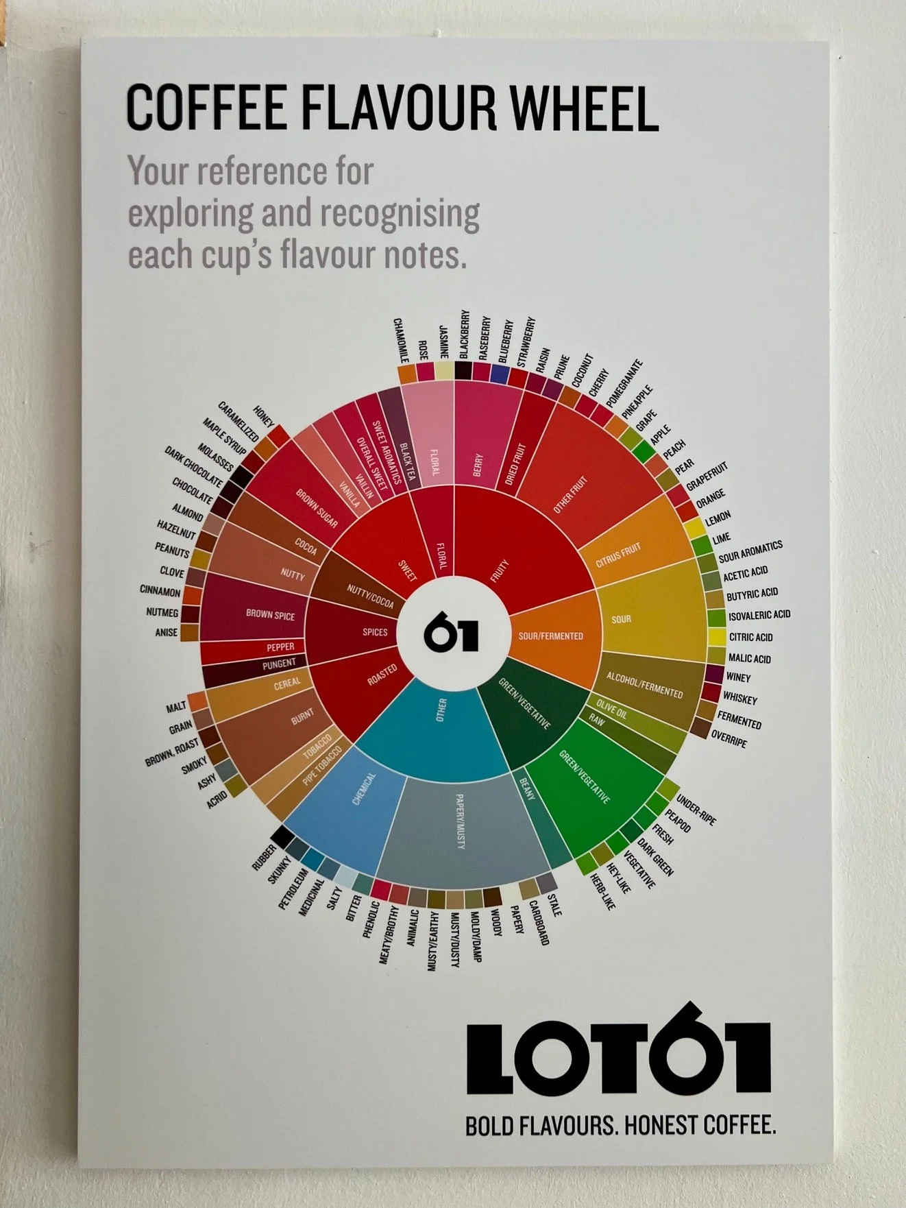 Colorful coffee flavour wheel wall poster inside Lot61 Coffee Roasters, Valletta.