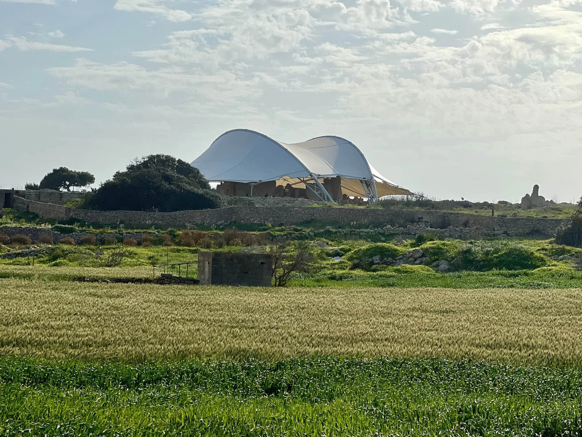 Distant view of the Hagar Qim protective tents surrounded by green fields in spring.