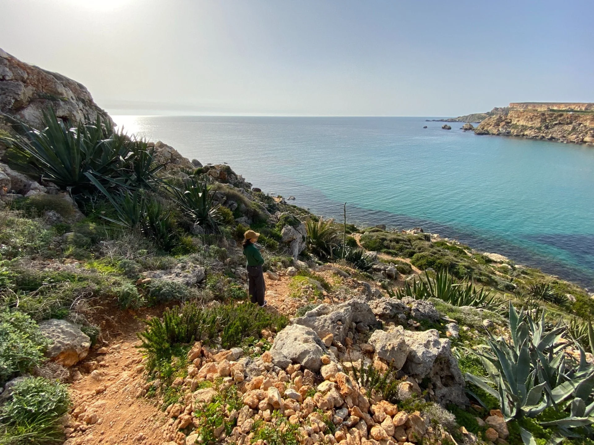 A scenic view from the coastal hiking trail looking down at the turquoise waters of Golden Bay.